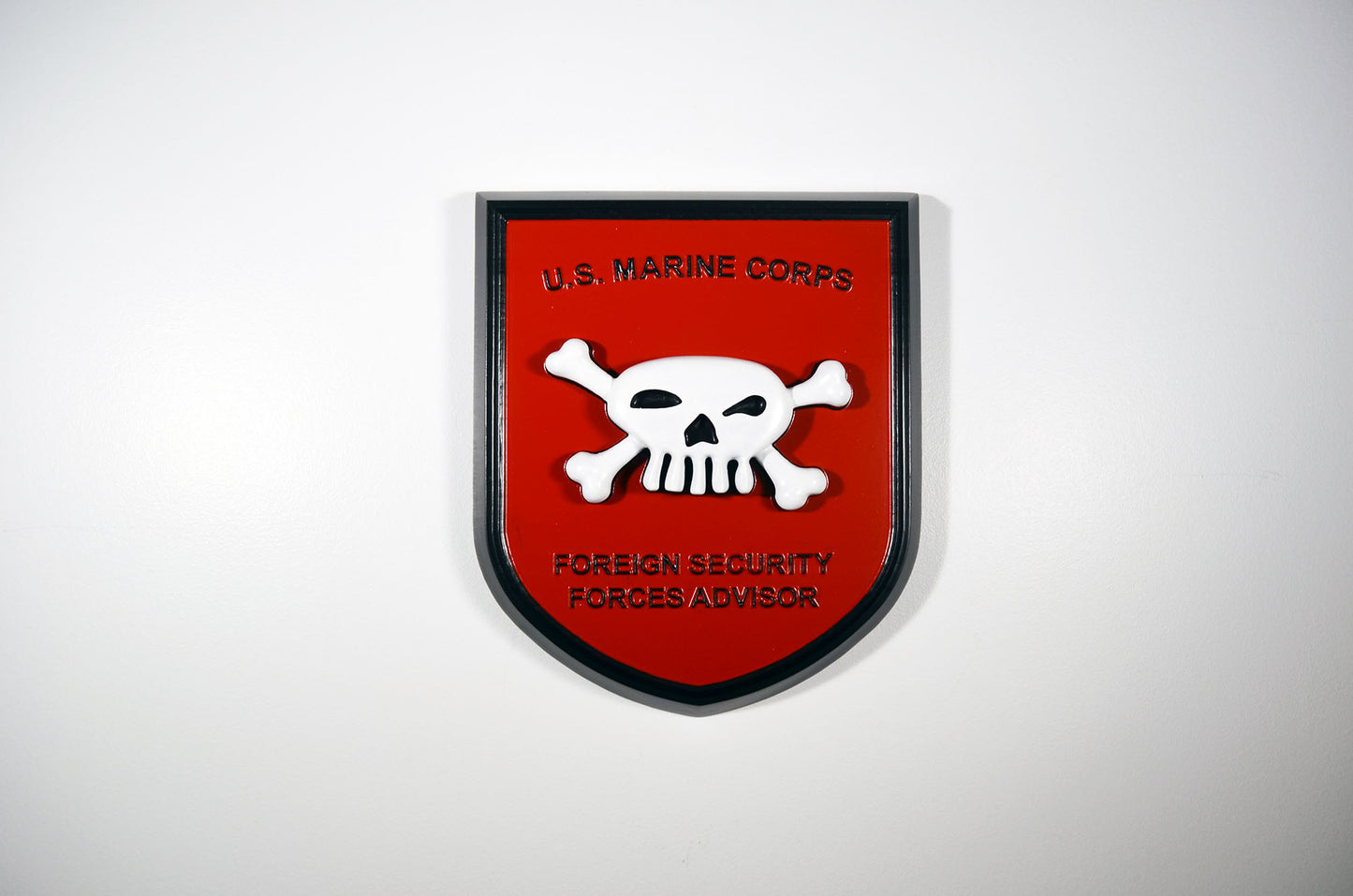 USMC Foreign Security Forces Advisor