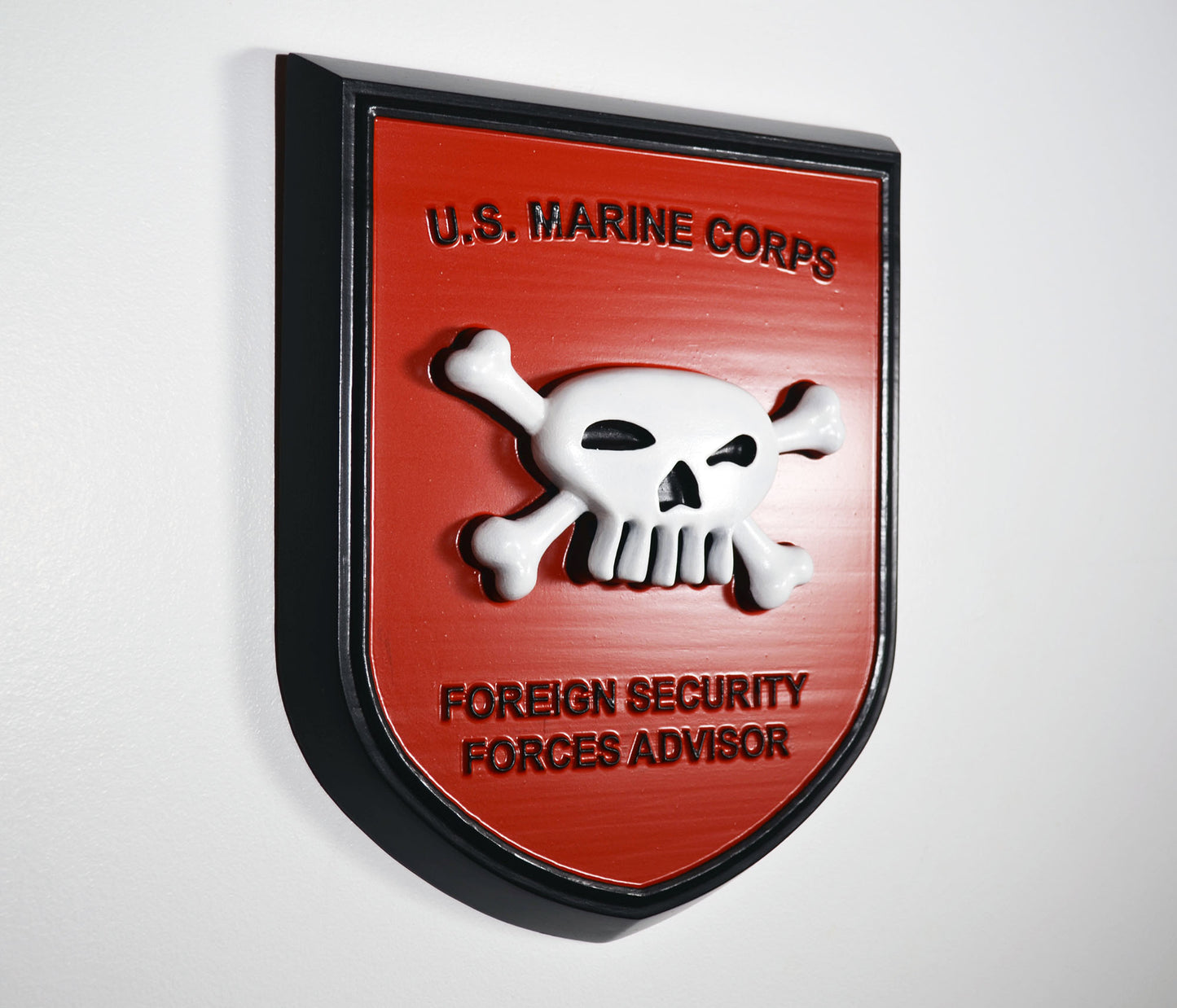 USMC Foreign Security Forces Advisor