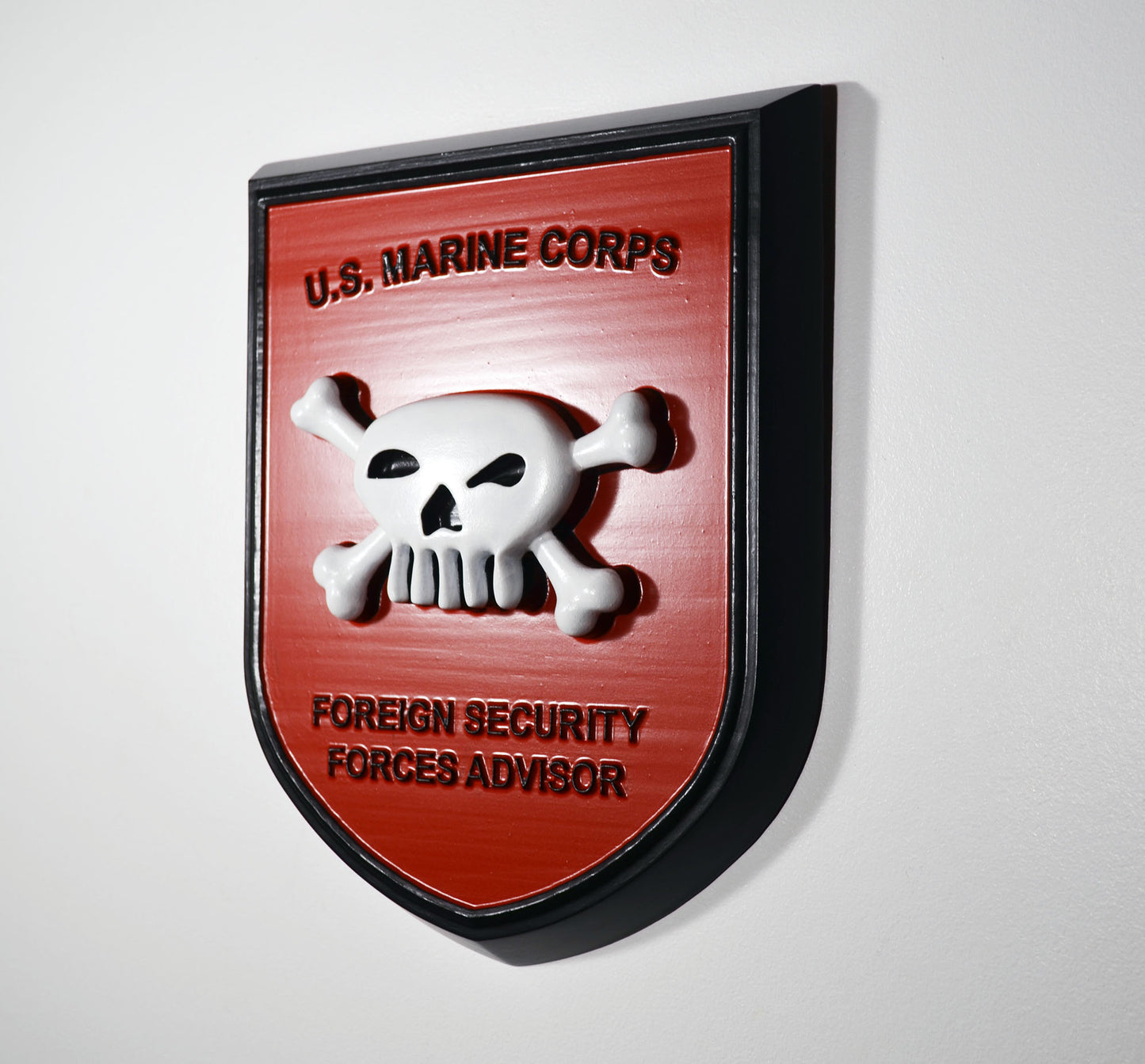 USMC Foreign Security Forces Advisor