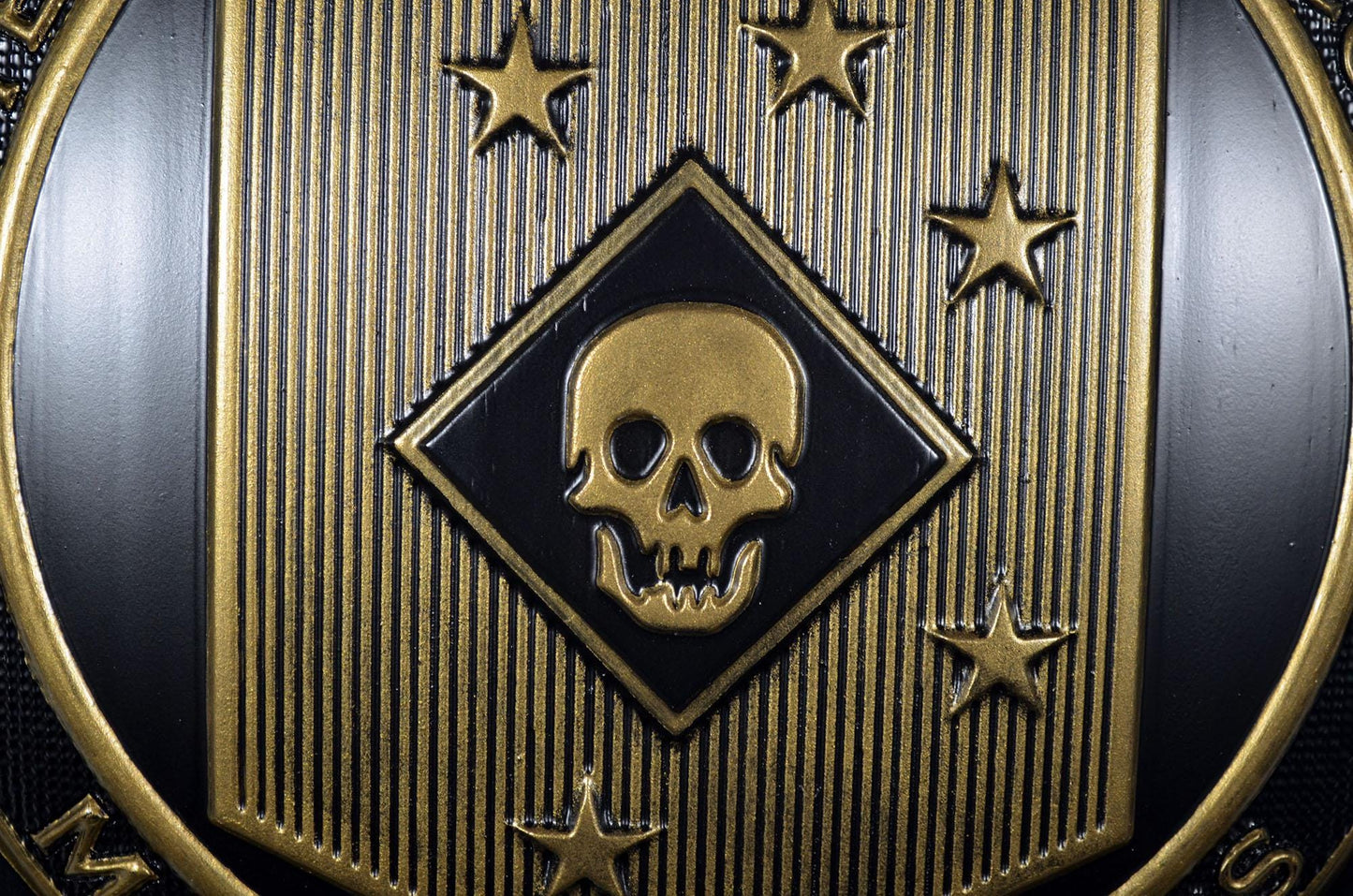 USMC Marine Raiders Matte Black Brass Shield Plaque