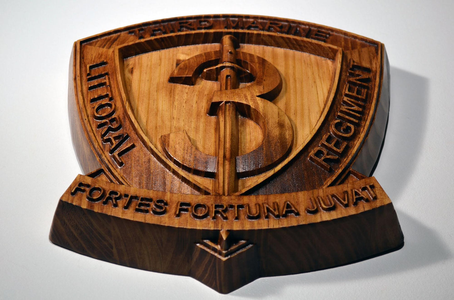 USMC 3rd Marine Littoral Regiment, 12" military plaque