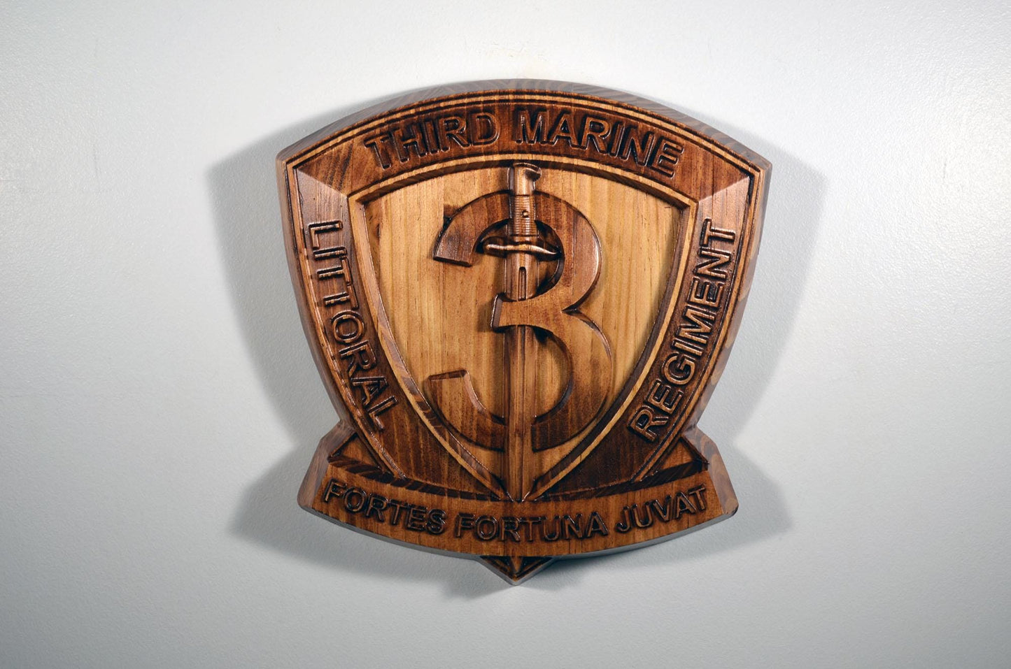 USMC 3rd Marine Littoral Regiment, 12" military plaque