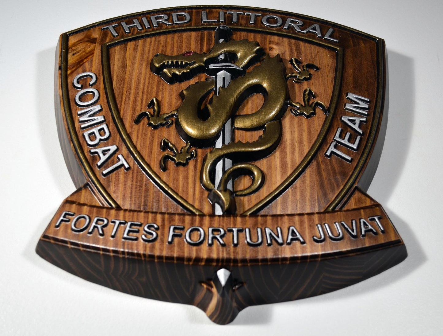 USMC 3D Littoral Combat Team, Marine Corps, Painted 15" Military Plaque