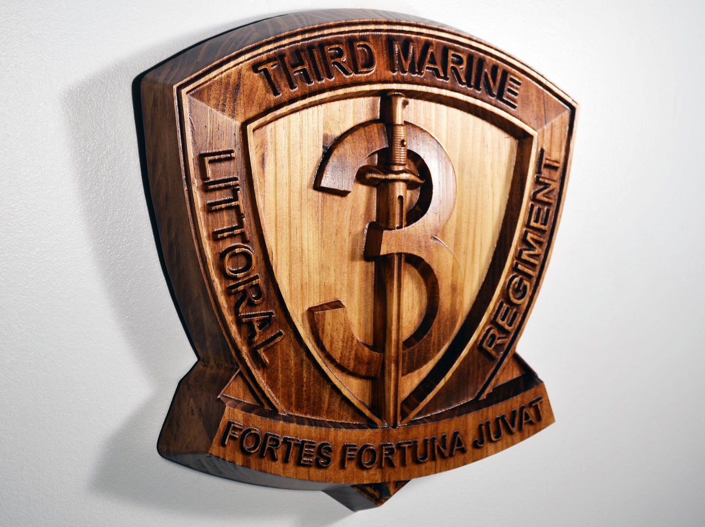 USMC 3rd Marine Littoral Regiment, 12" military plaque