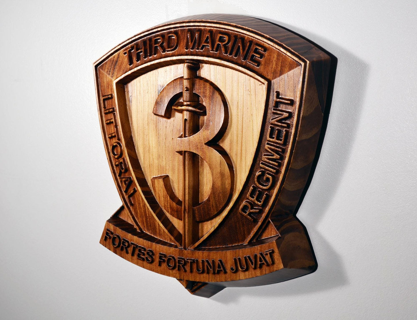 USMC 3rd Marine Littoral Regiment, 12" military plaque
