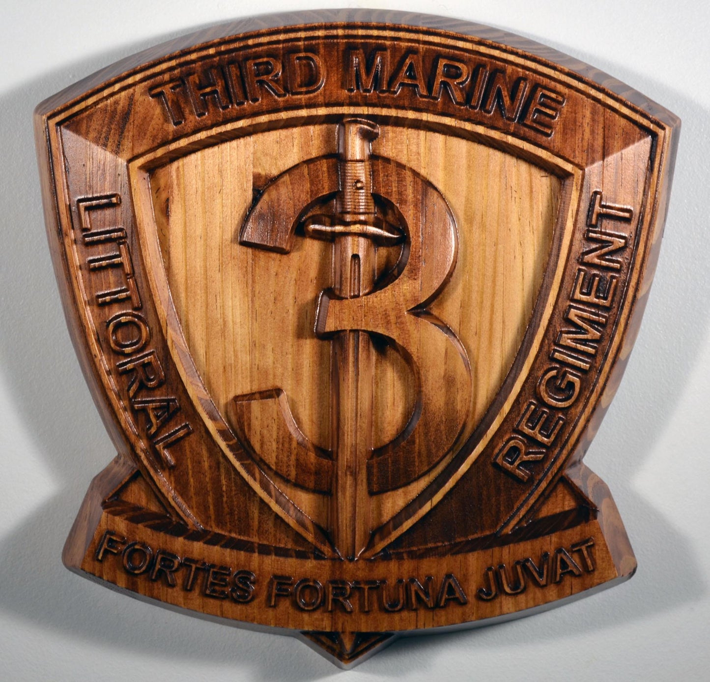 USMC 3rd Marine Littoral Regiment, 12" military plaque