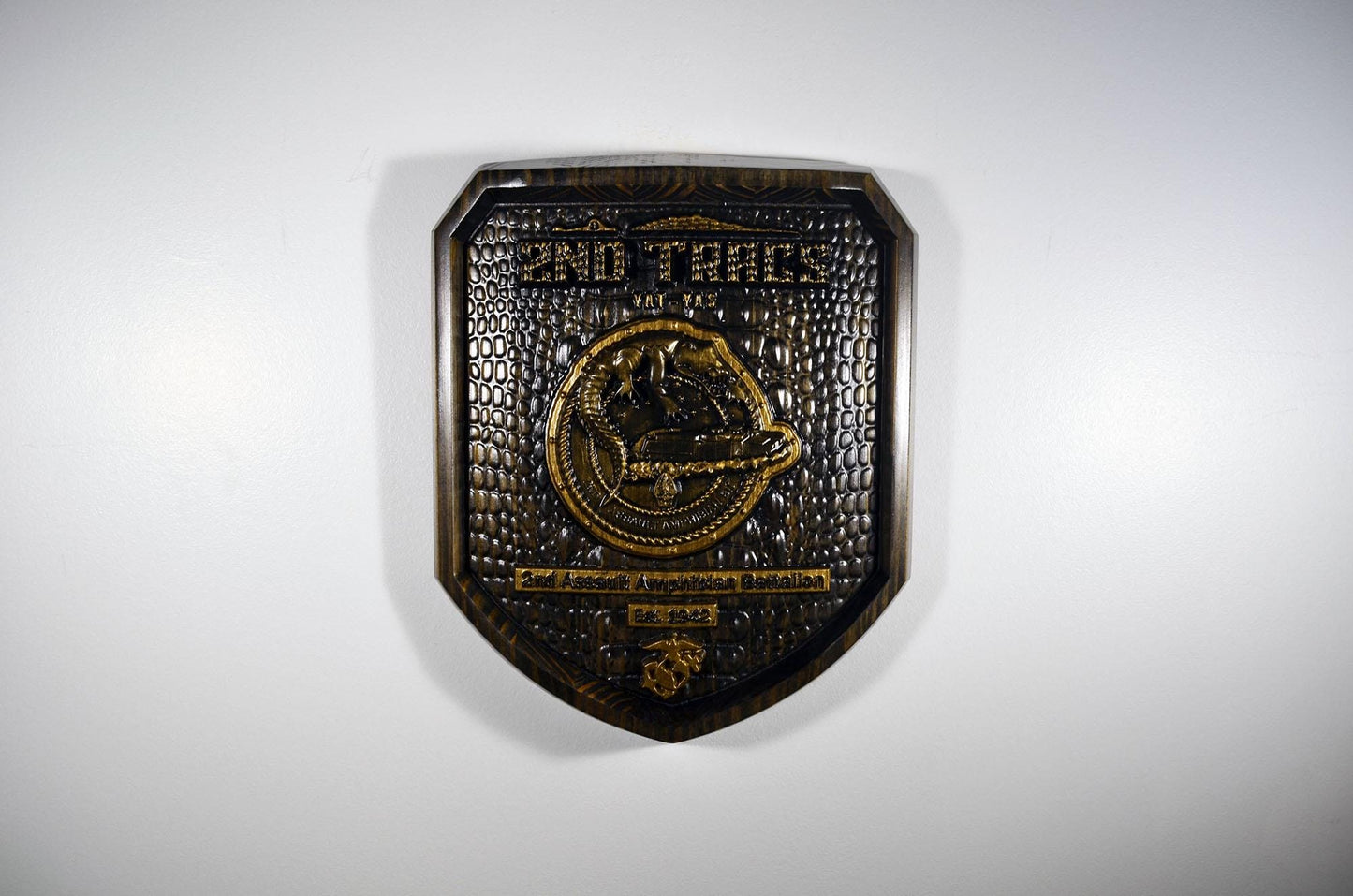 USMC 2nd Assault Amphibian Battalion, 2nd Tracs Black and Brass, military plaque