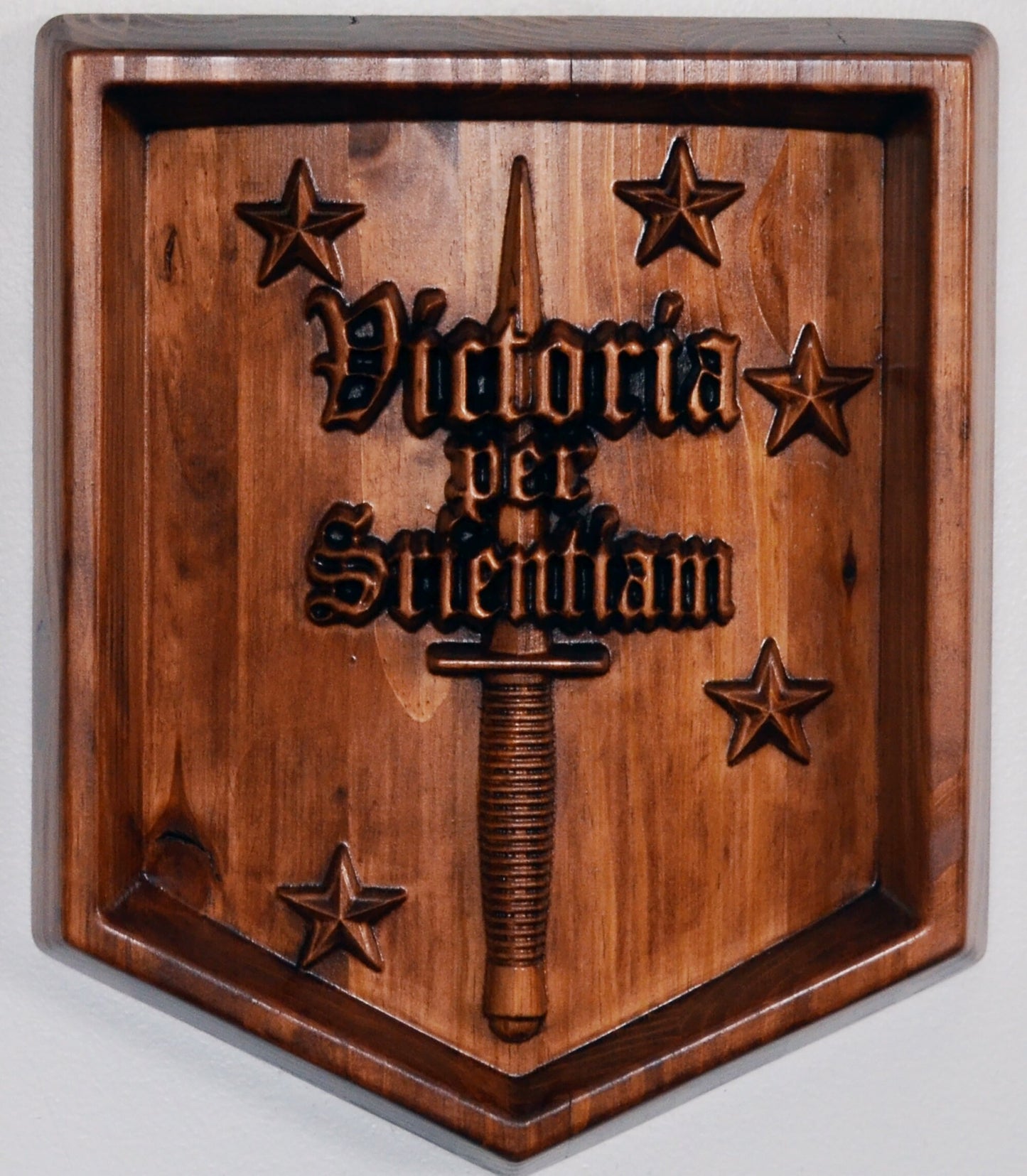 USMC Marine Raiders Training Center, Marine Special Operations Regiment, stained 3d wood carving, military plaque - Carved Effects