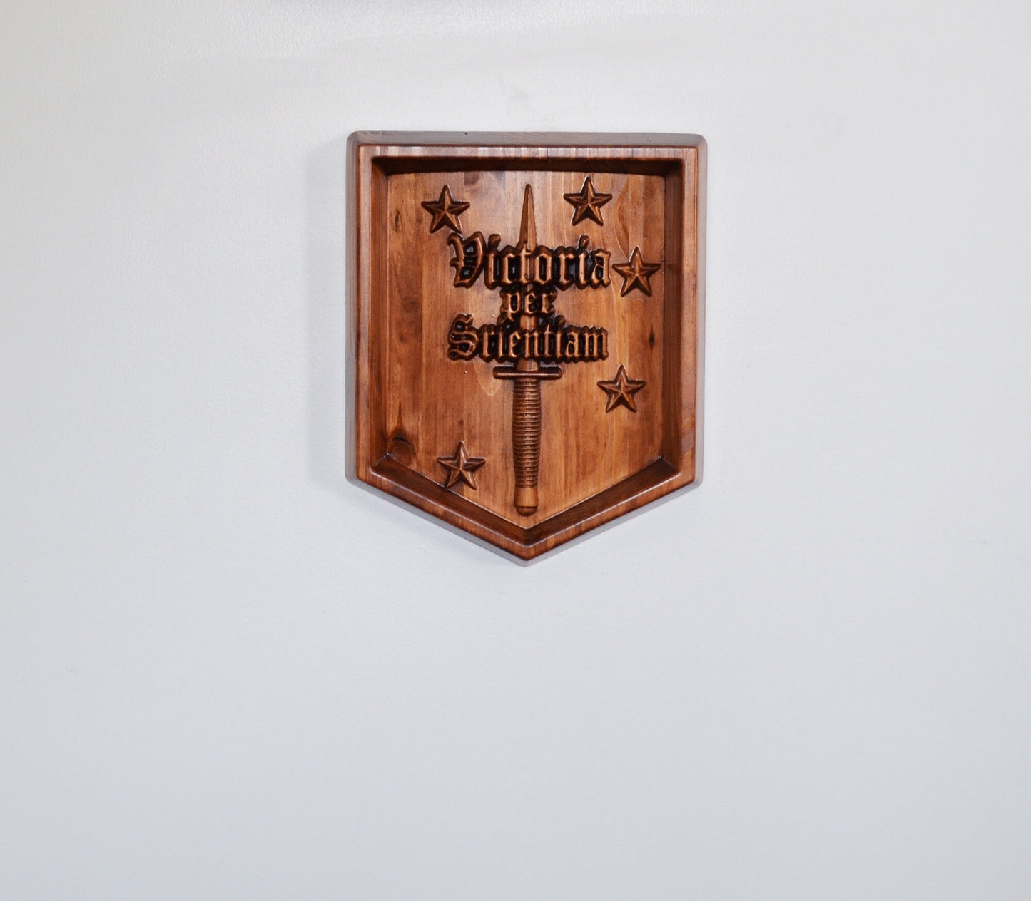 USMC Marine Raiders Training Center, Marine Special Operations Regiment, stained 3d wood carving, military plaque - Carved Effects