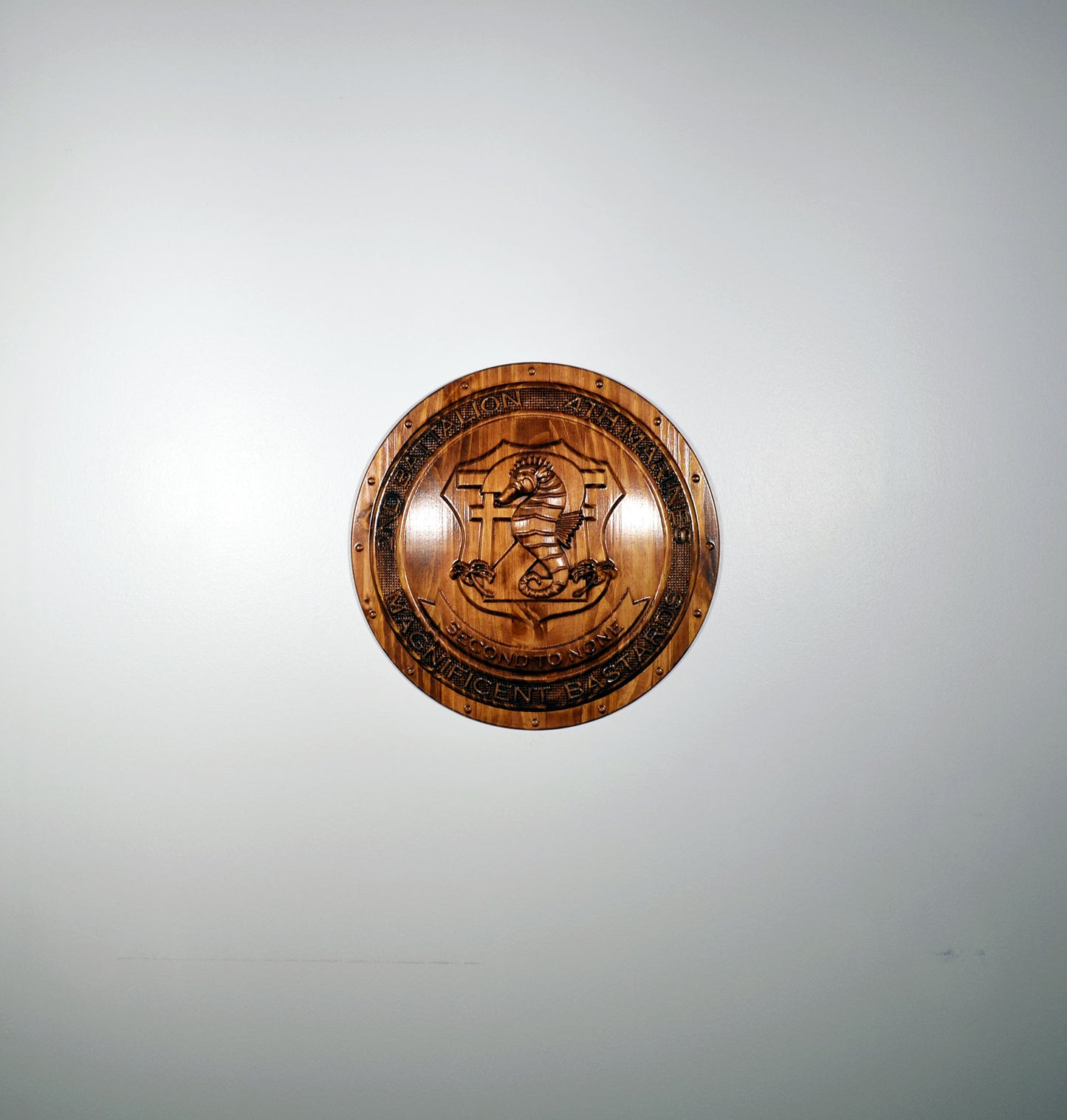 USMC 2nd Battalion, 4th Marines, Unit Emblem, US Marine Corps, military plaque