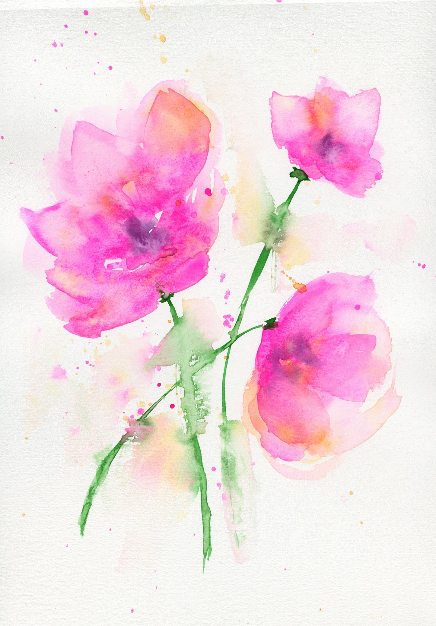 Watercolor painting of pink flowers on a white background