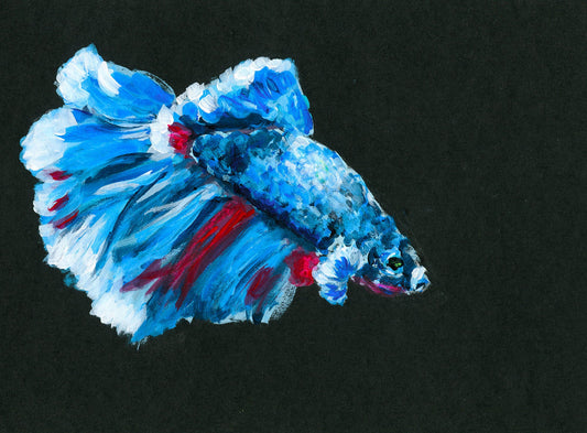 Betta fish, blue red and white acrylic painting on black paper, small fish wall art, Siamese fighting fish painting, original artwork - Carved Effects