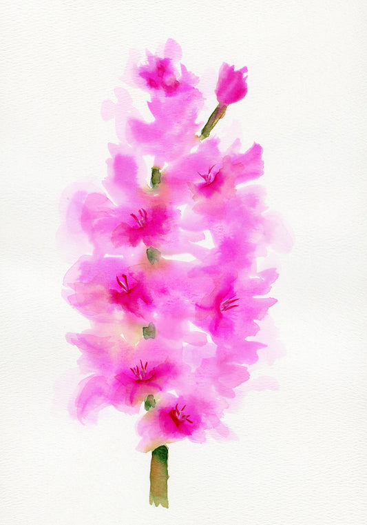 A watercolor painting of bright pink gladiolus flowers on a white background, signed by the artist.