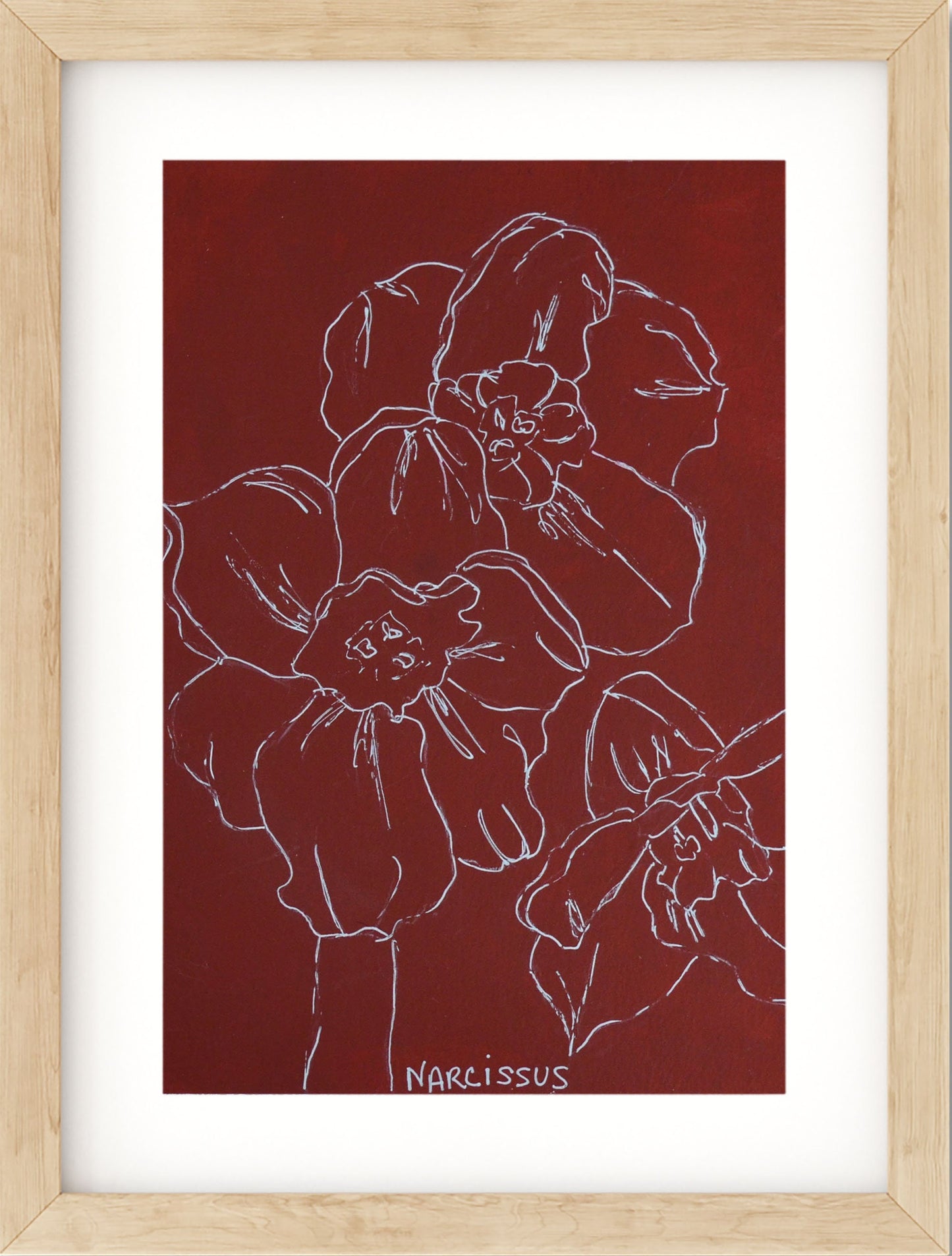 Burgundy narcissus line drawing hand painted acrylic on watercolor paper