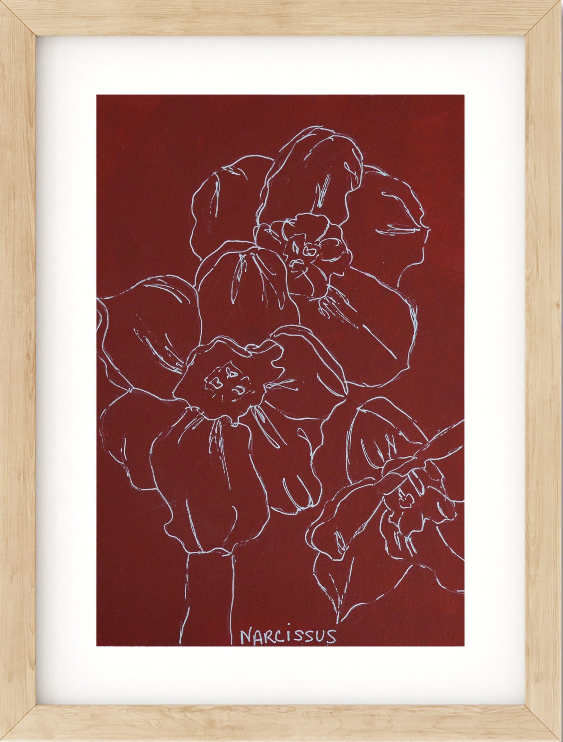 Burgundy narcissus line drawing hand painted acrylic on watercolor paper