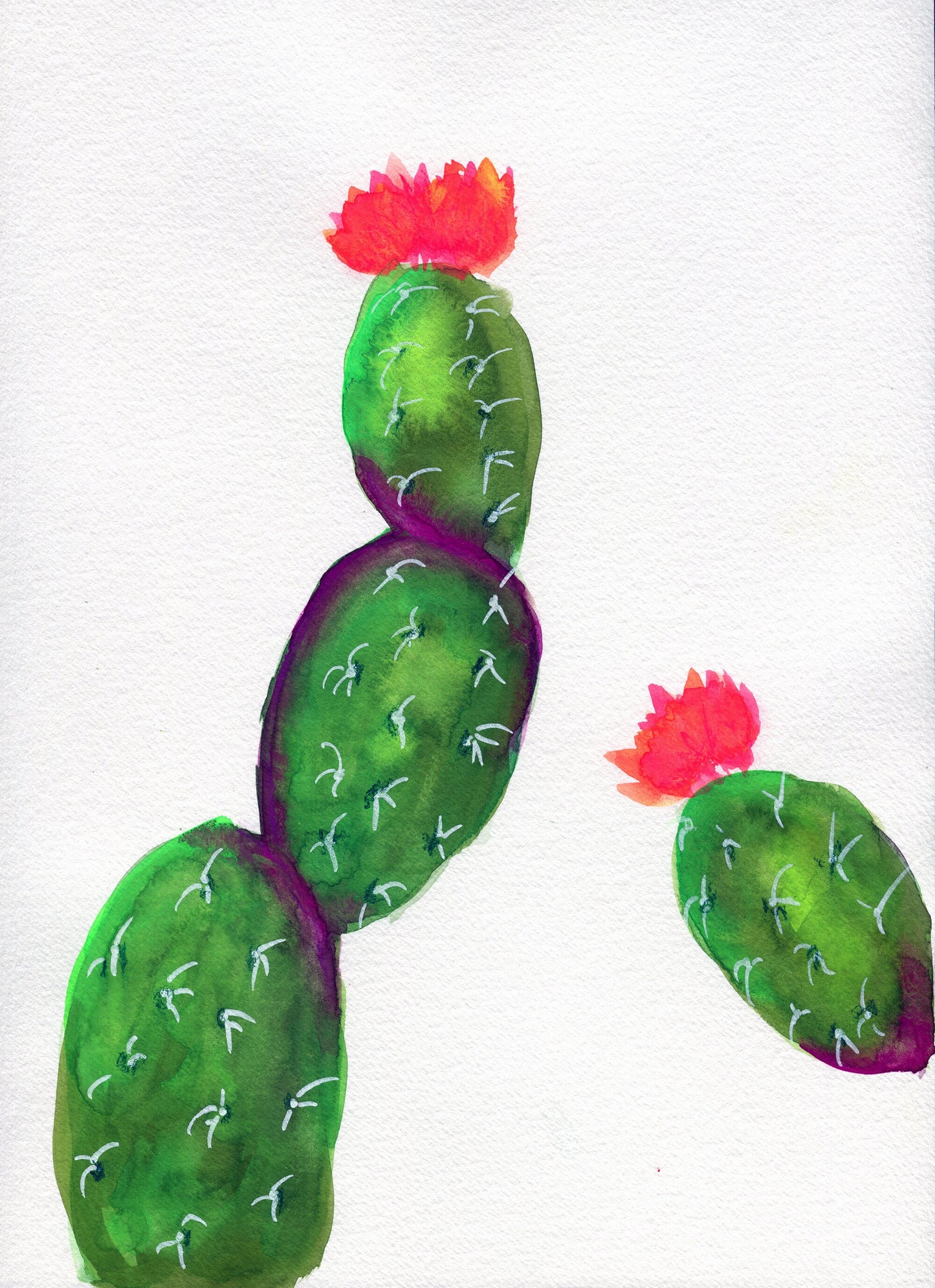 Cactus with orange flower 