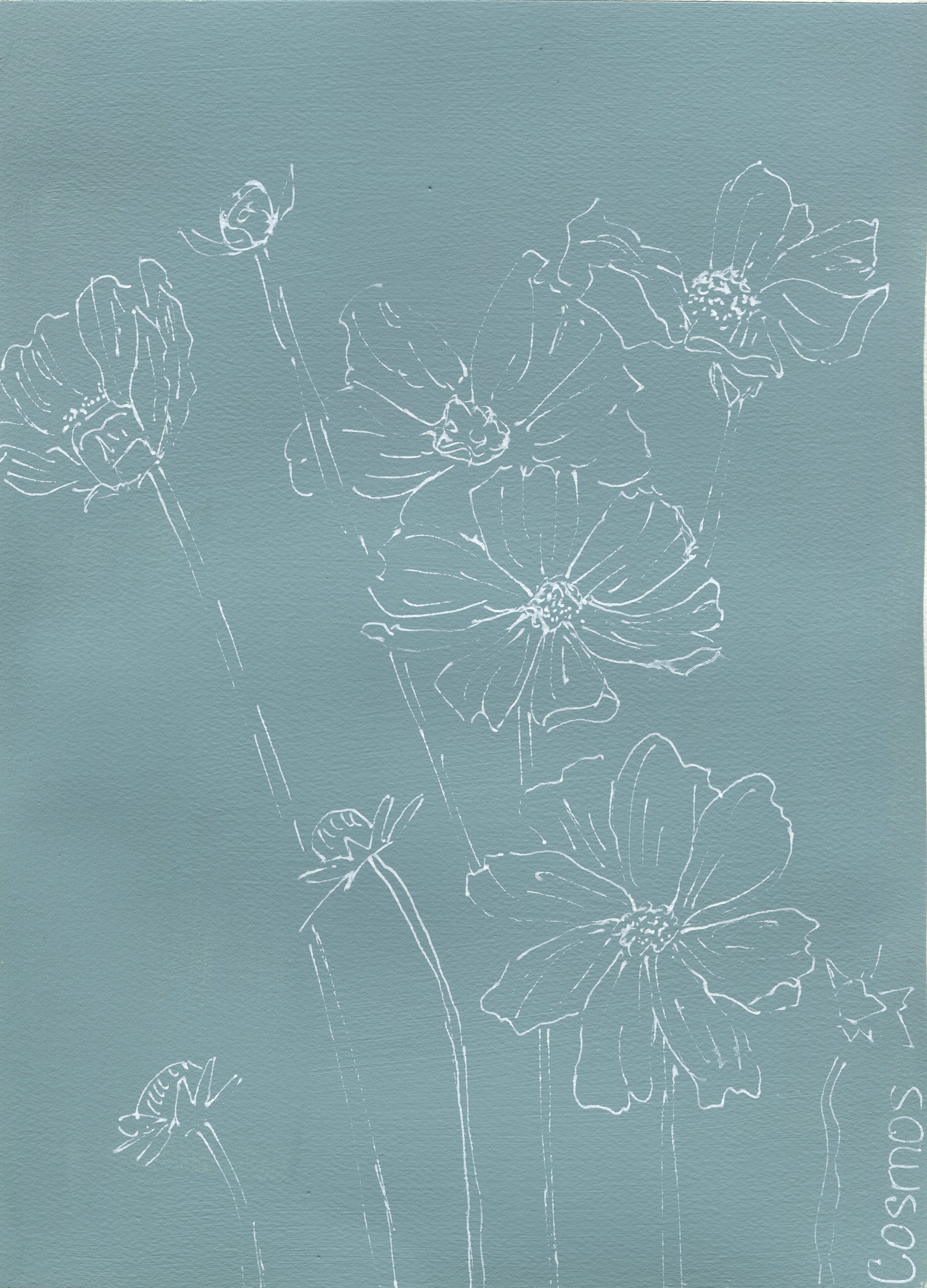 Cosmos line drawing on acrylic paint 9x12 ready to frame wall art - Carved Effects