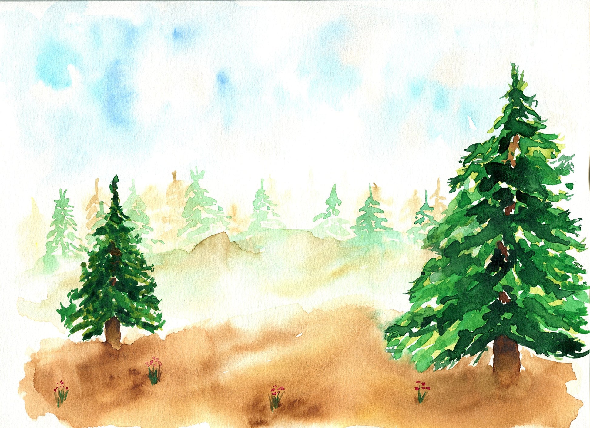 Evergreen forest watercolor painting 9x12, original wilderness landscape watercolor painting - Carved Effects