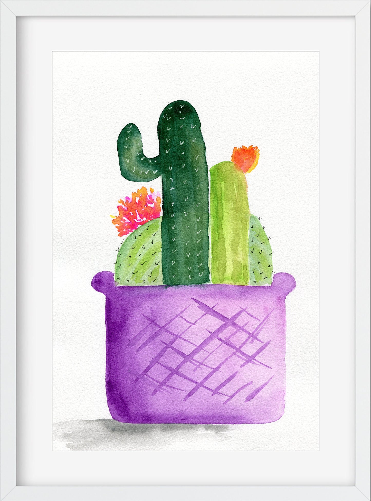 Flowering cactus in a purple planter