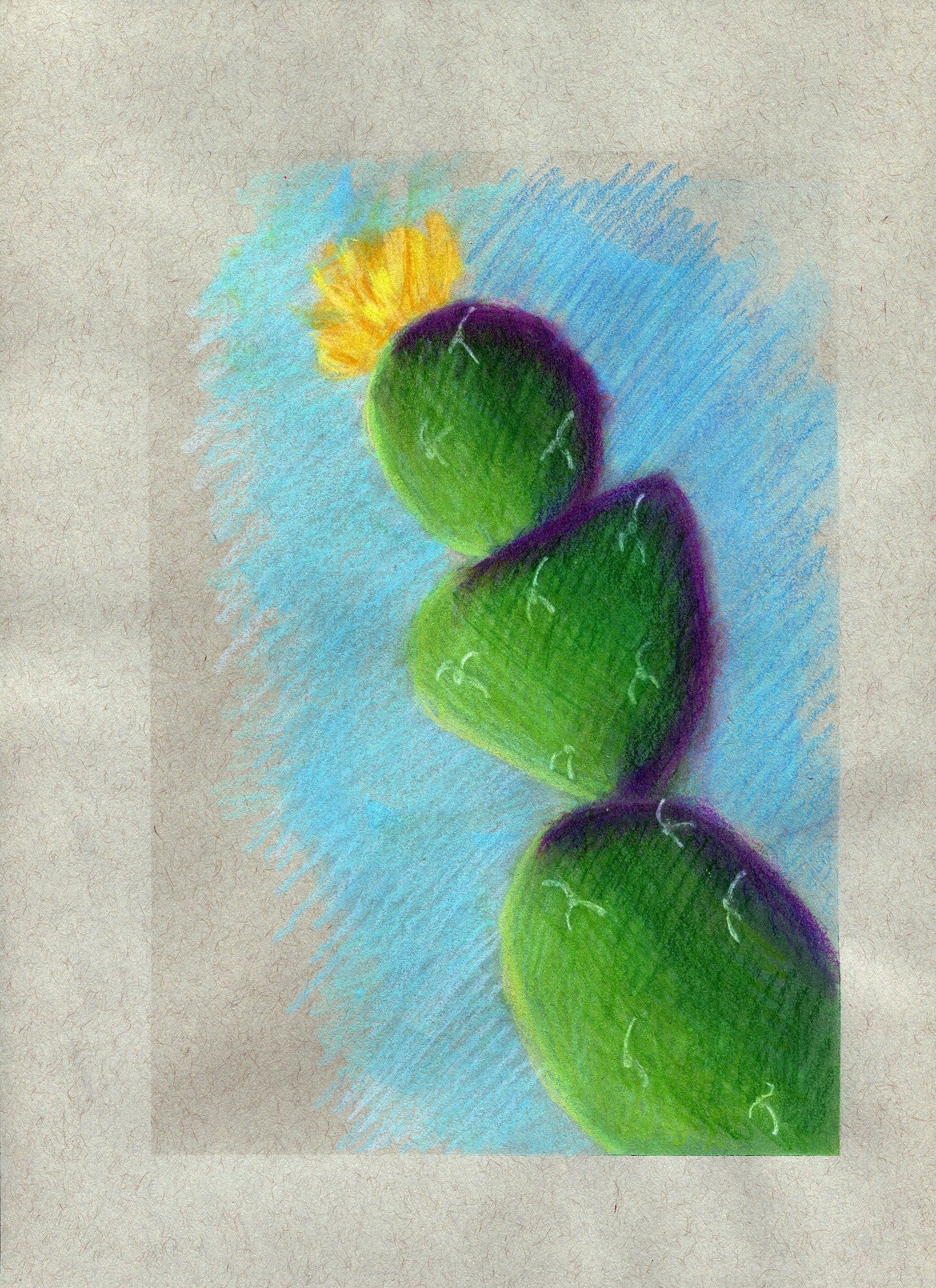 Flowering cactus soft pastel and colored pencil drawing
