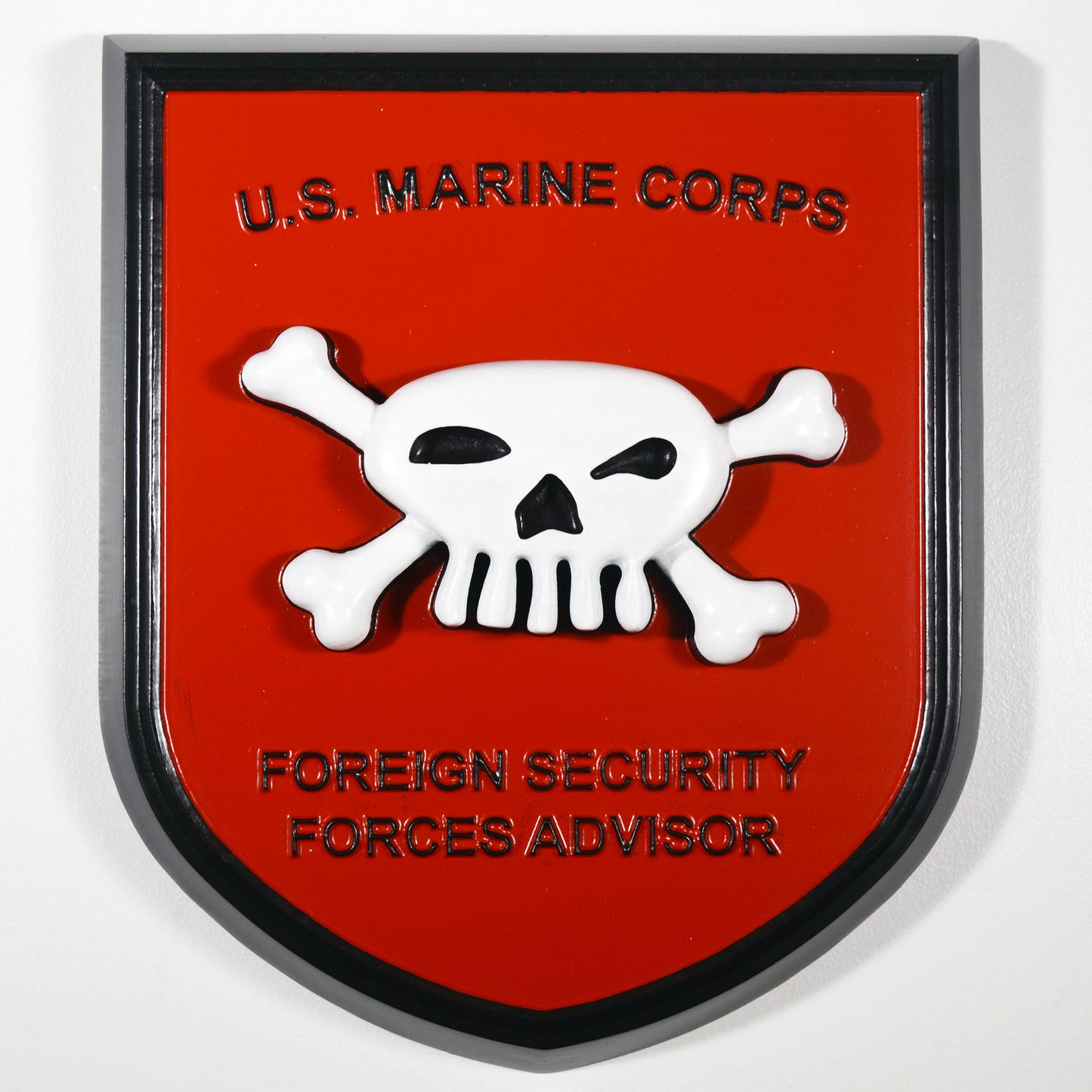 USMC Foreign Security Forces Advisor