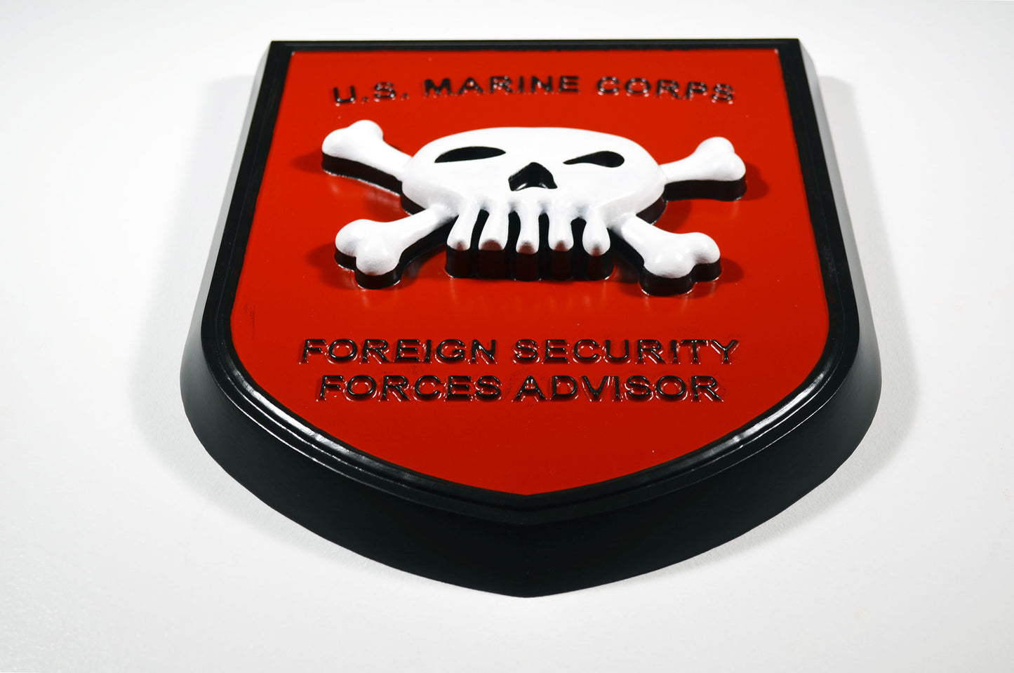 USMC Foreign Security Forces Advisor