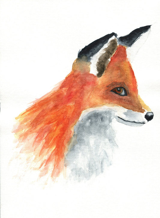 Fox hand painted watercolor painting 9x12 