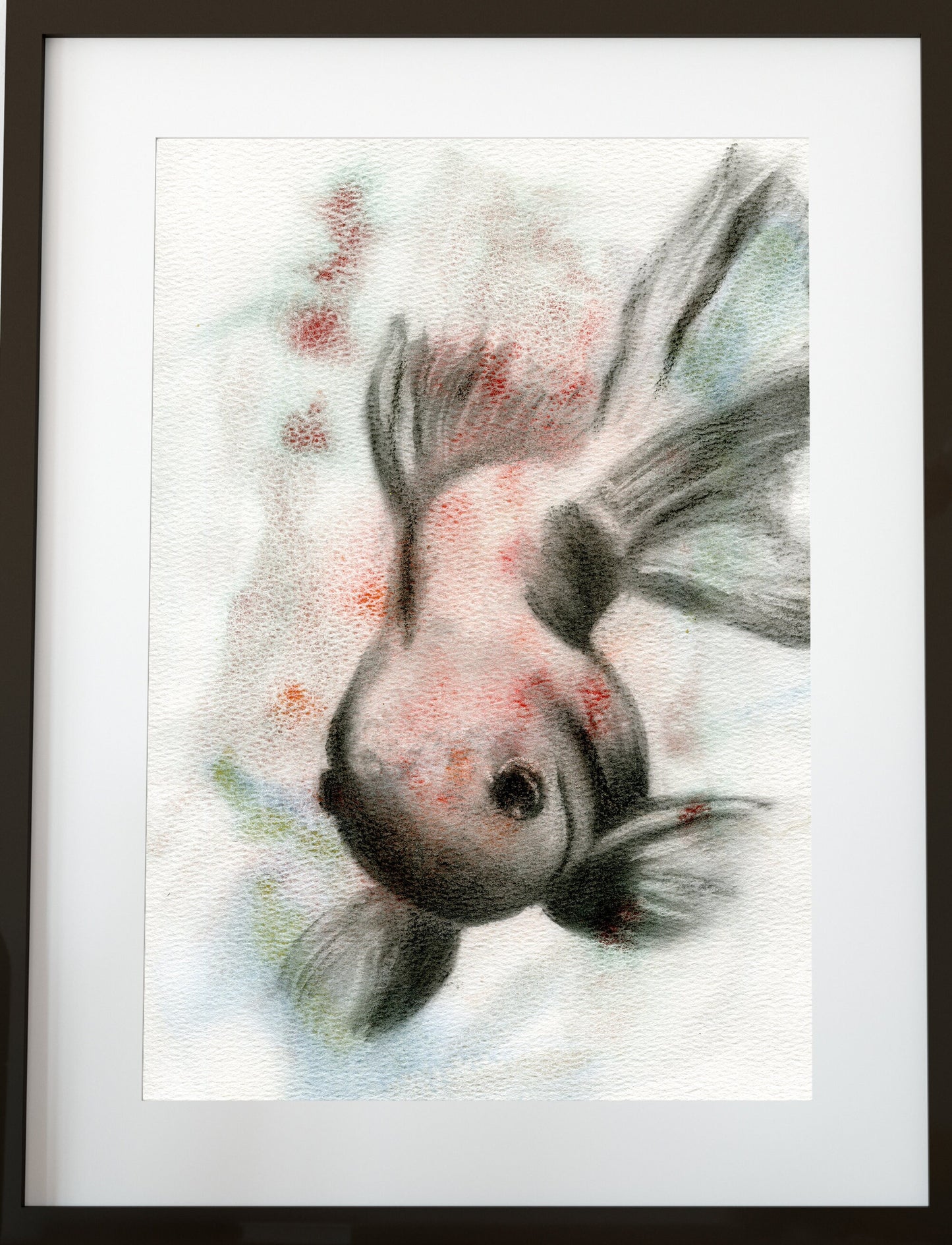 Japanese Koi fish painting watercolor and charcoal painting