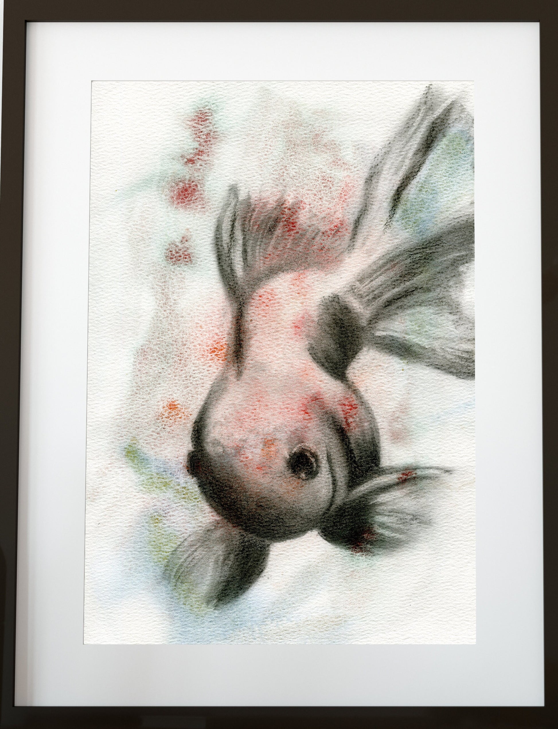 Japanese Koi fish painting watercolor and charcoal painting