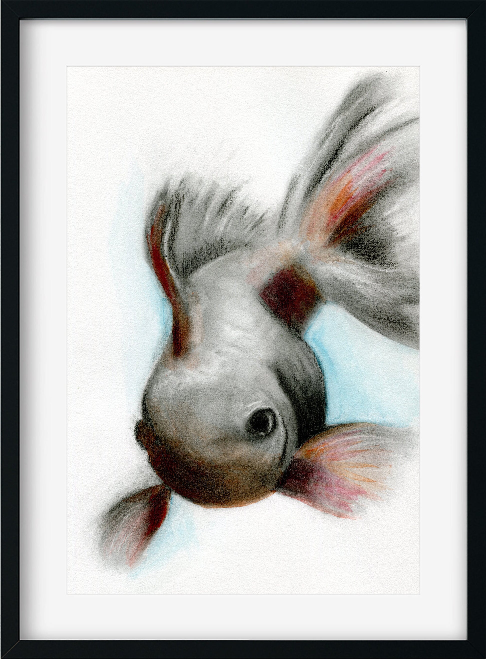 Koi fish hand painted watercolor and charcoal painting