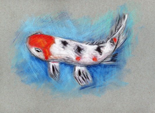 A watercolor painting of a koi fish with a predominantly white body, some black outlines, and orange and red markings, measured at 9x12 inches, on a blue background.