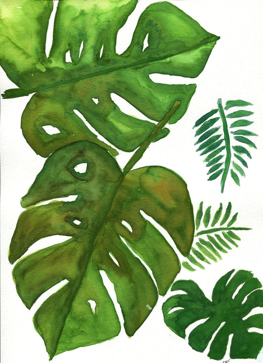 Hand painted original watercolor painting of green botanical leaves, specifically Monstera Deliciosa, on a white background.