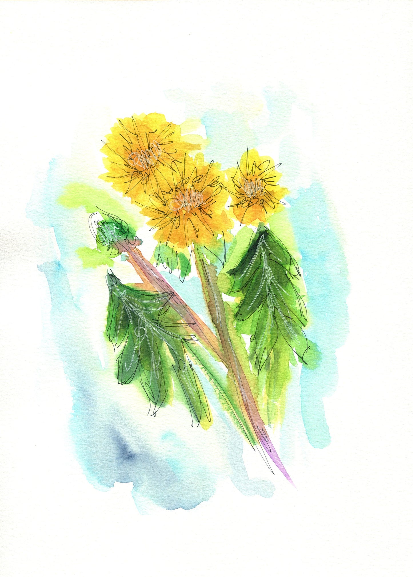 Original 9x12 dandelion watercolor painting, yellow botanical wall art, spring flower theme decor