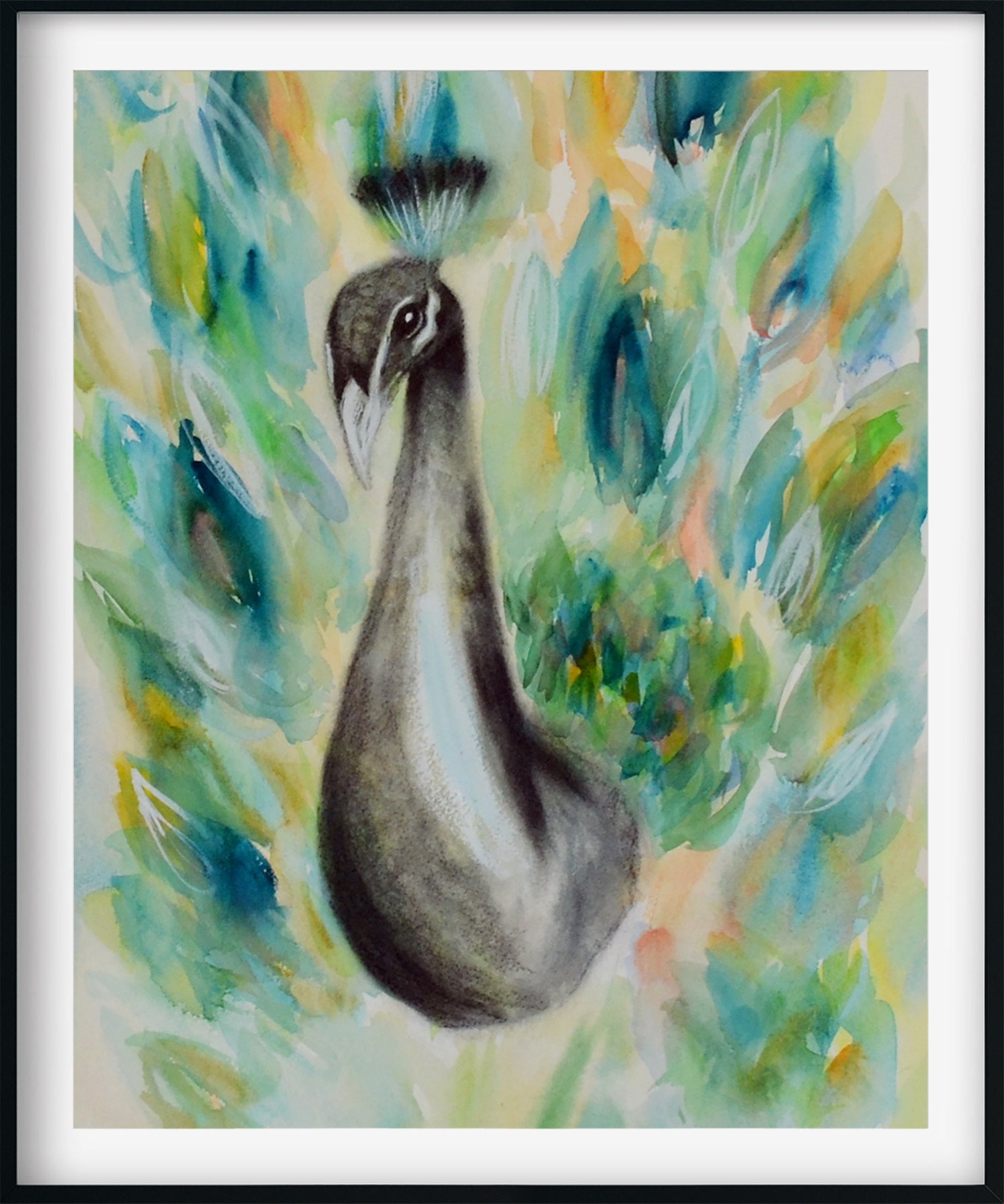 Peacock watercolor and charcoal painting