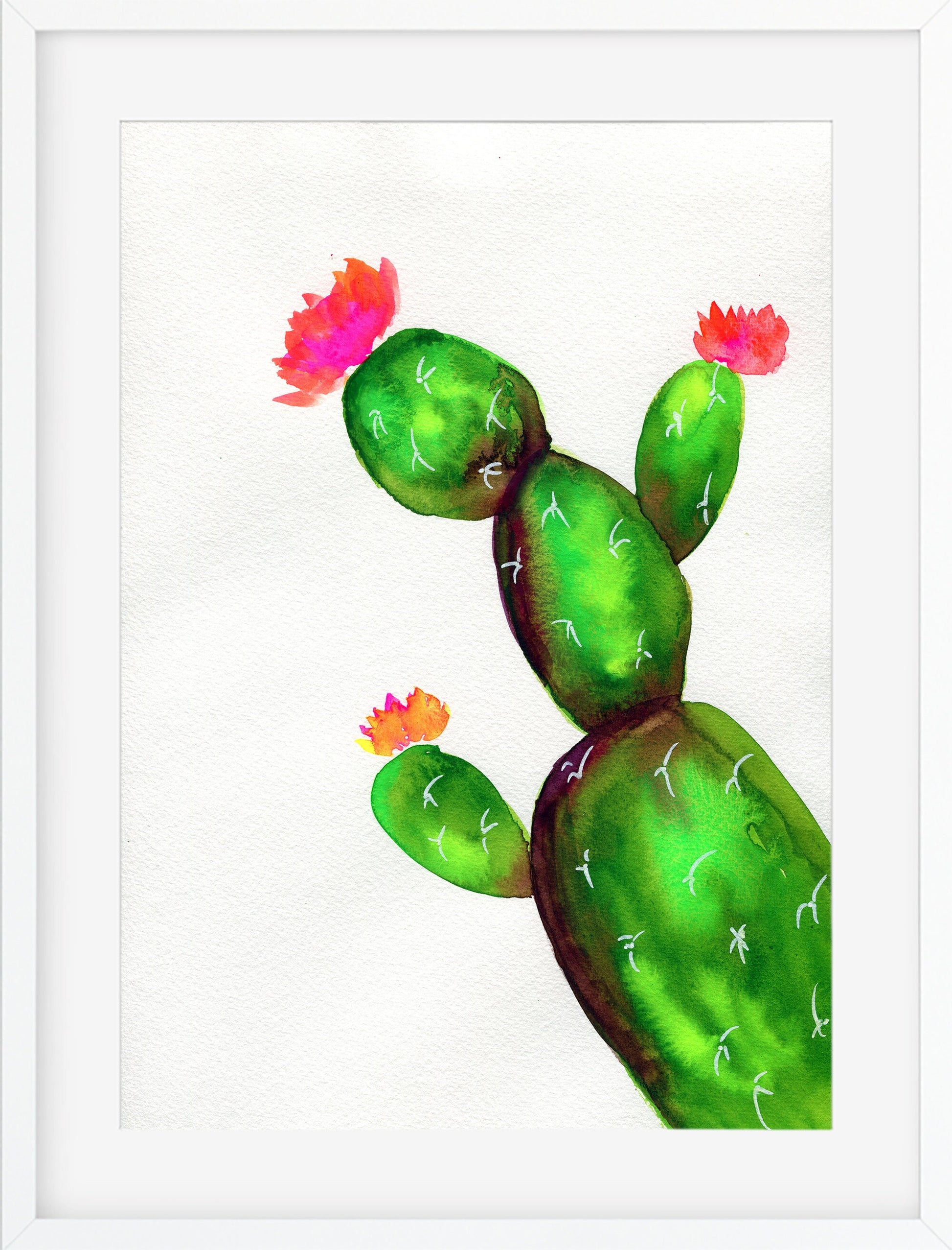 Pink and orange flowering cactus watercolor painting
