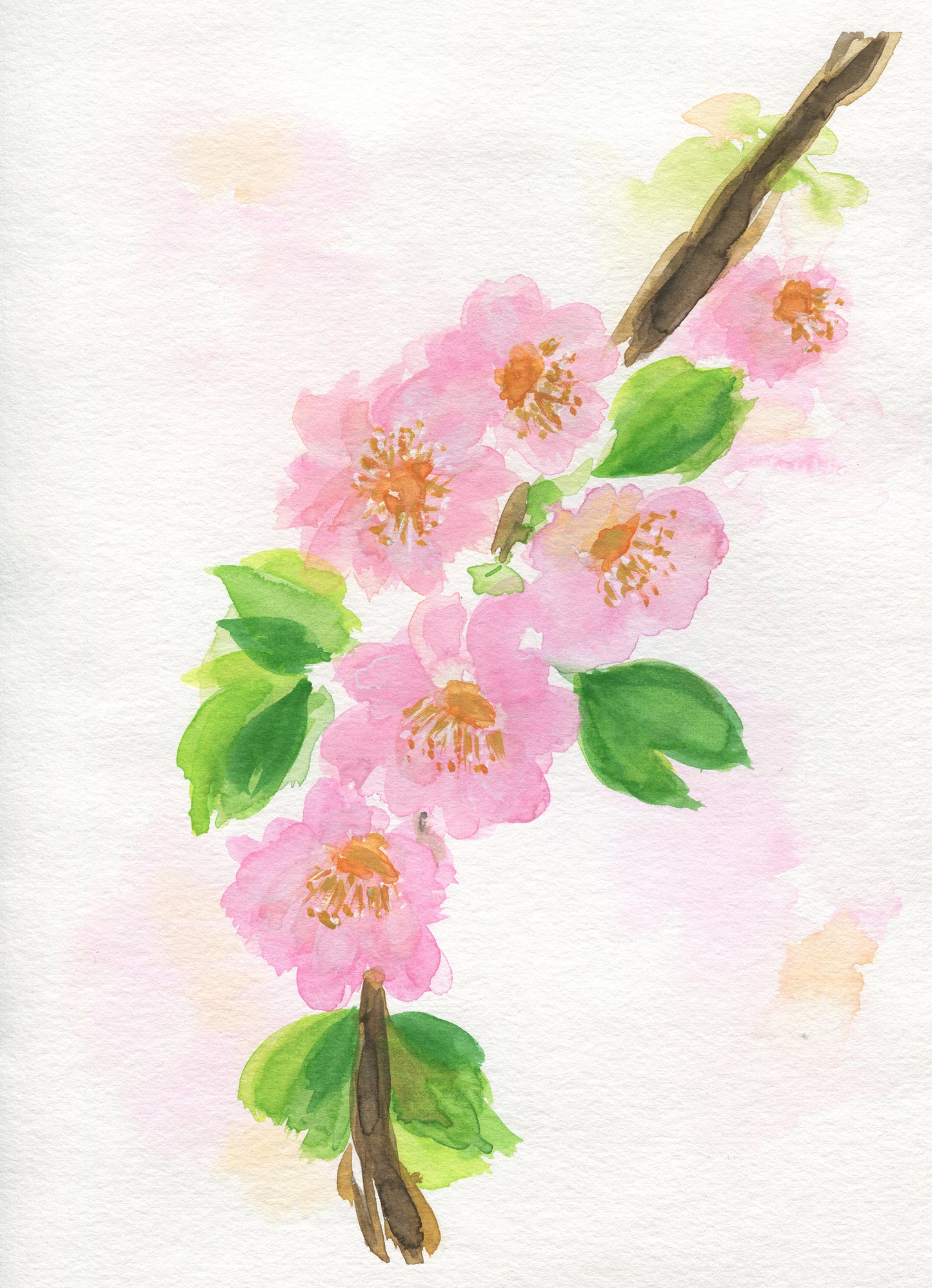Cherry blossoms original hand painted watercolor painting 9x12, pink flowers wall art, Japanese cherry blossom artwork - Carved Effects