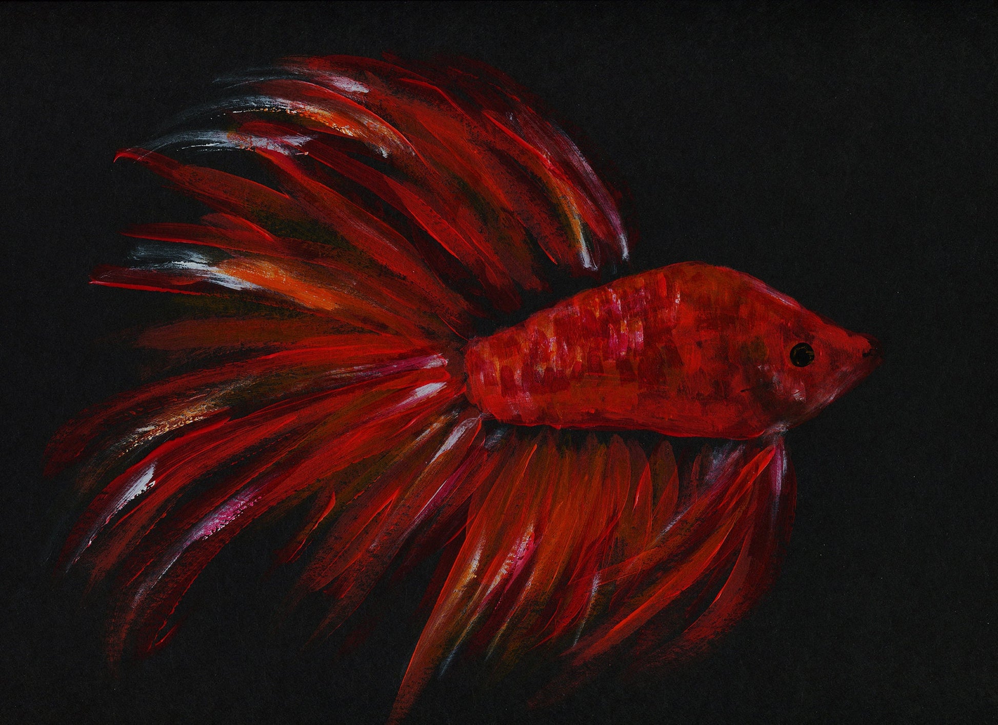 Betta fish, red and orange acrylic painting on black paper 9x12, fish wall art, Japanese fighting fish painting, original artwork - Carved Effects