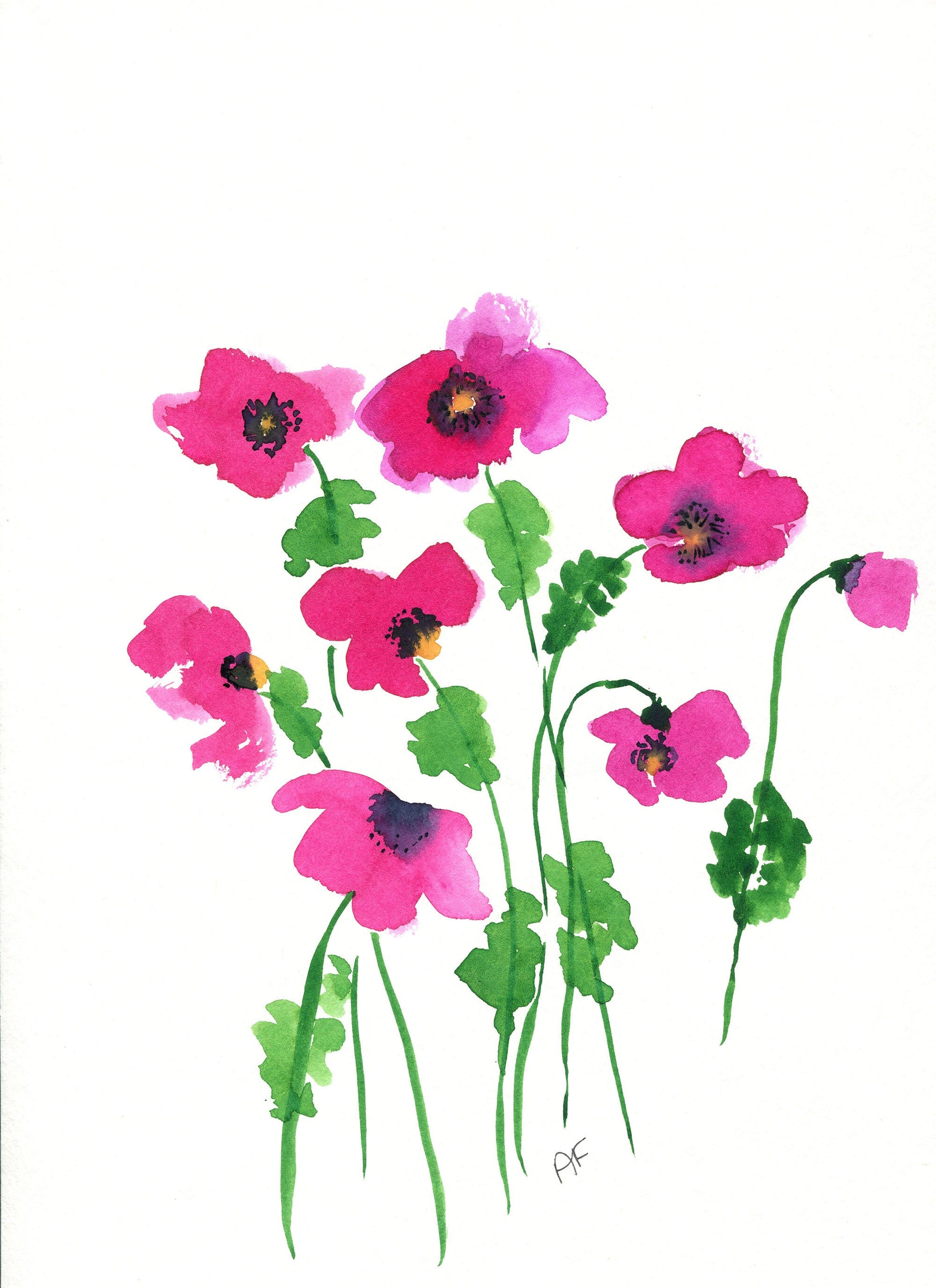 A watercolor painting of red poppies with green stems on a white background, hand-painted on paper.