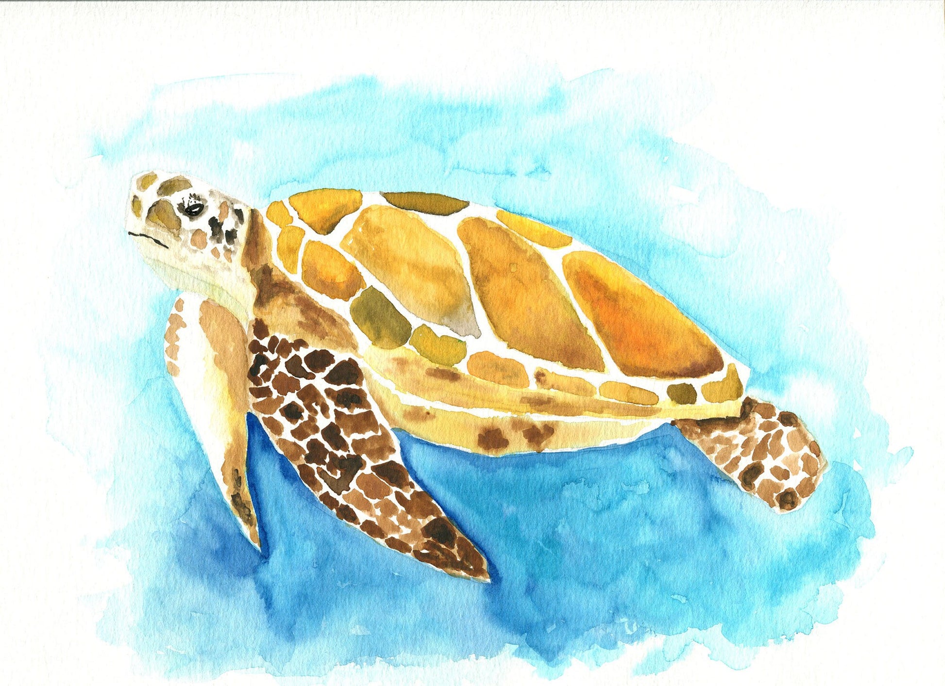 Sea turtle hand painted watercolor painting