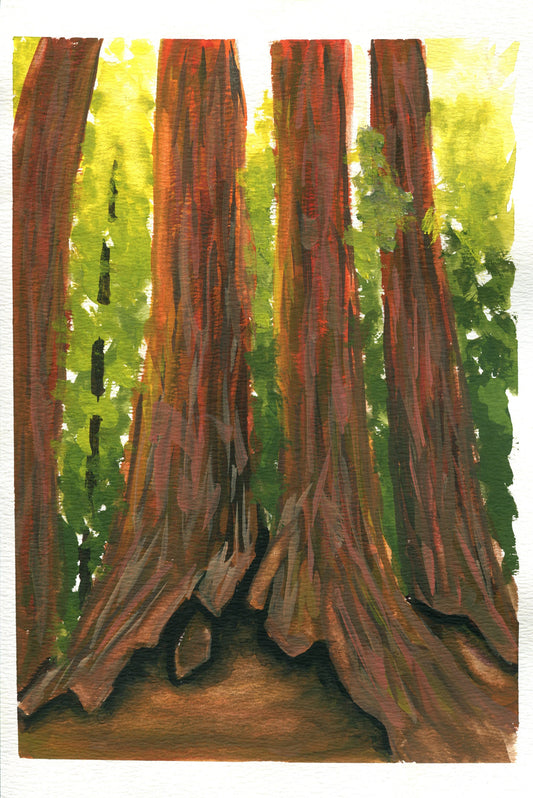 A hand-painted gouache painting on watercolor paper featuring a forest scene with sequoia trees, depicted in a vibrant and detailed style.