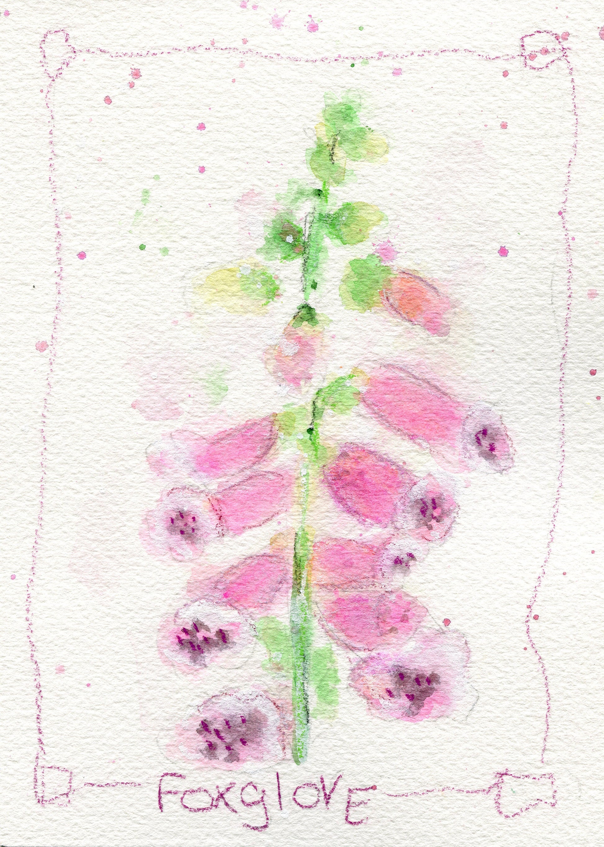 Set of 4 watercolor flower paintings 5x7, magnolia, foxglove, alstroemeria, narcissus