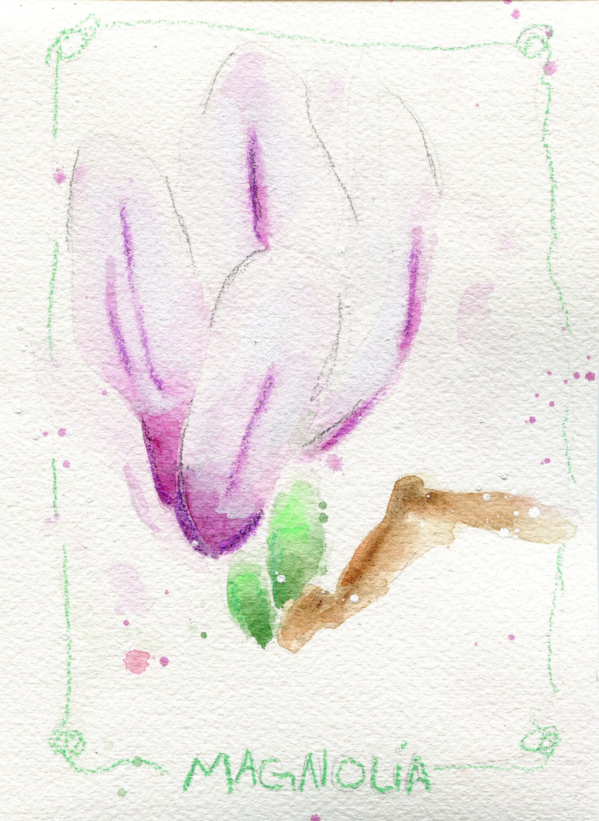 Set of 4 watercolor flower paintings 5x7, magnolia, foxglove, alstroemeria, narcissus
