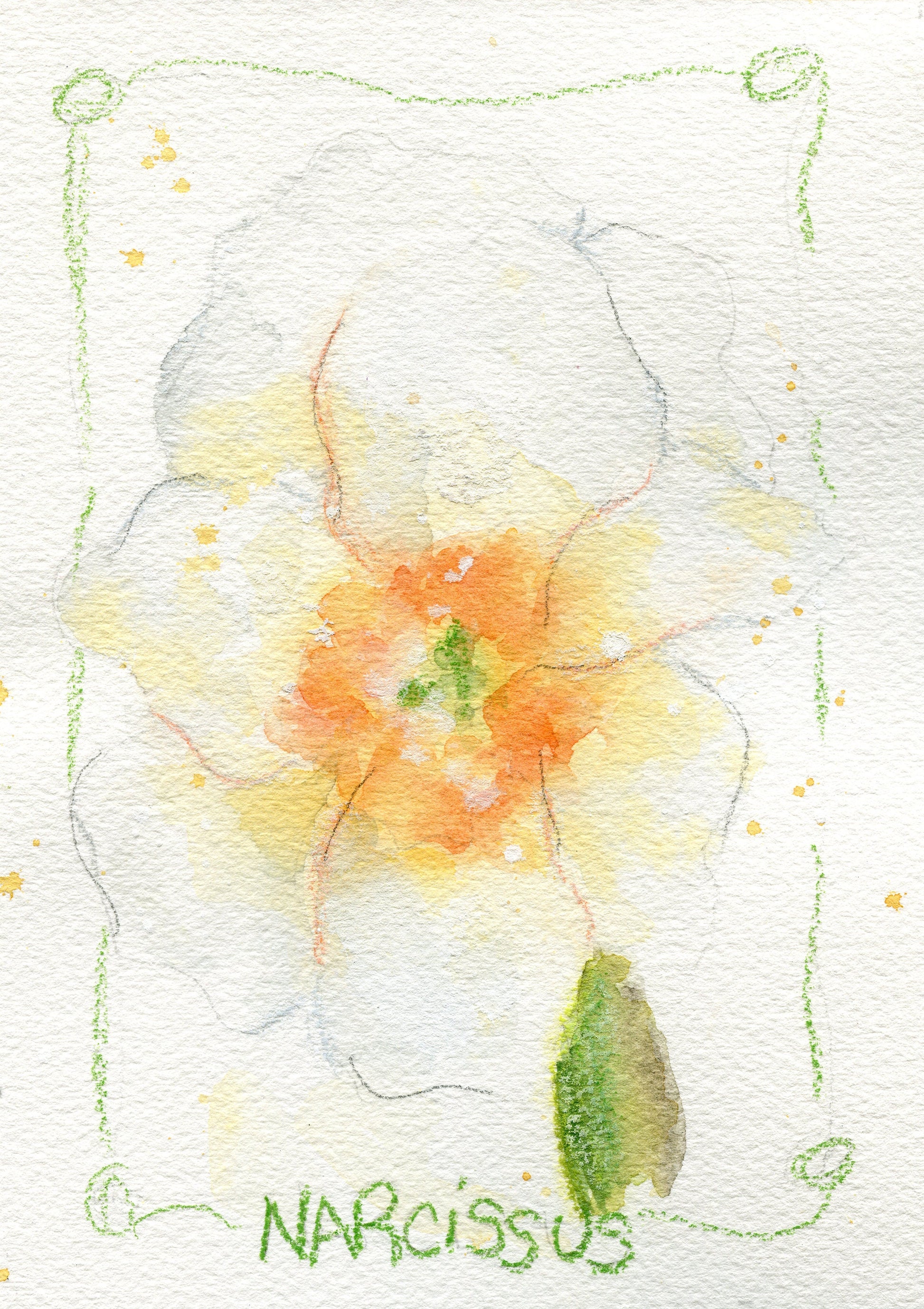A watercolor painting of a white flower with yellow and orange accents, possibly a magnolia or a foxglove, signed by the artist on the lower right.