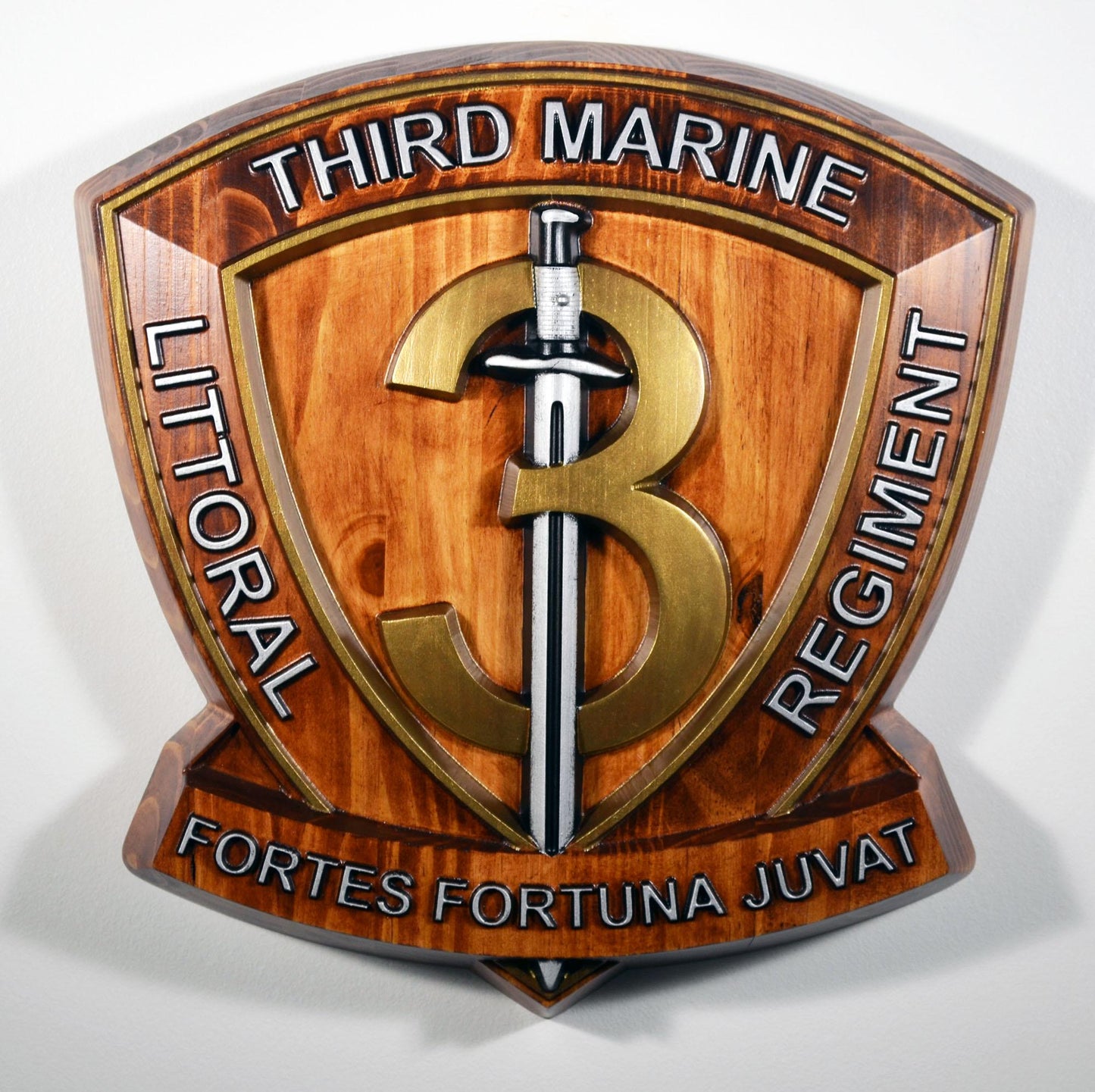 USMC 3rd Marine Littoral Regiment, Painted 15" Military Plaque