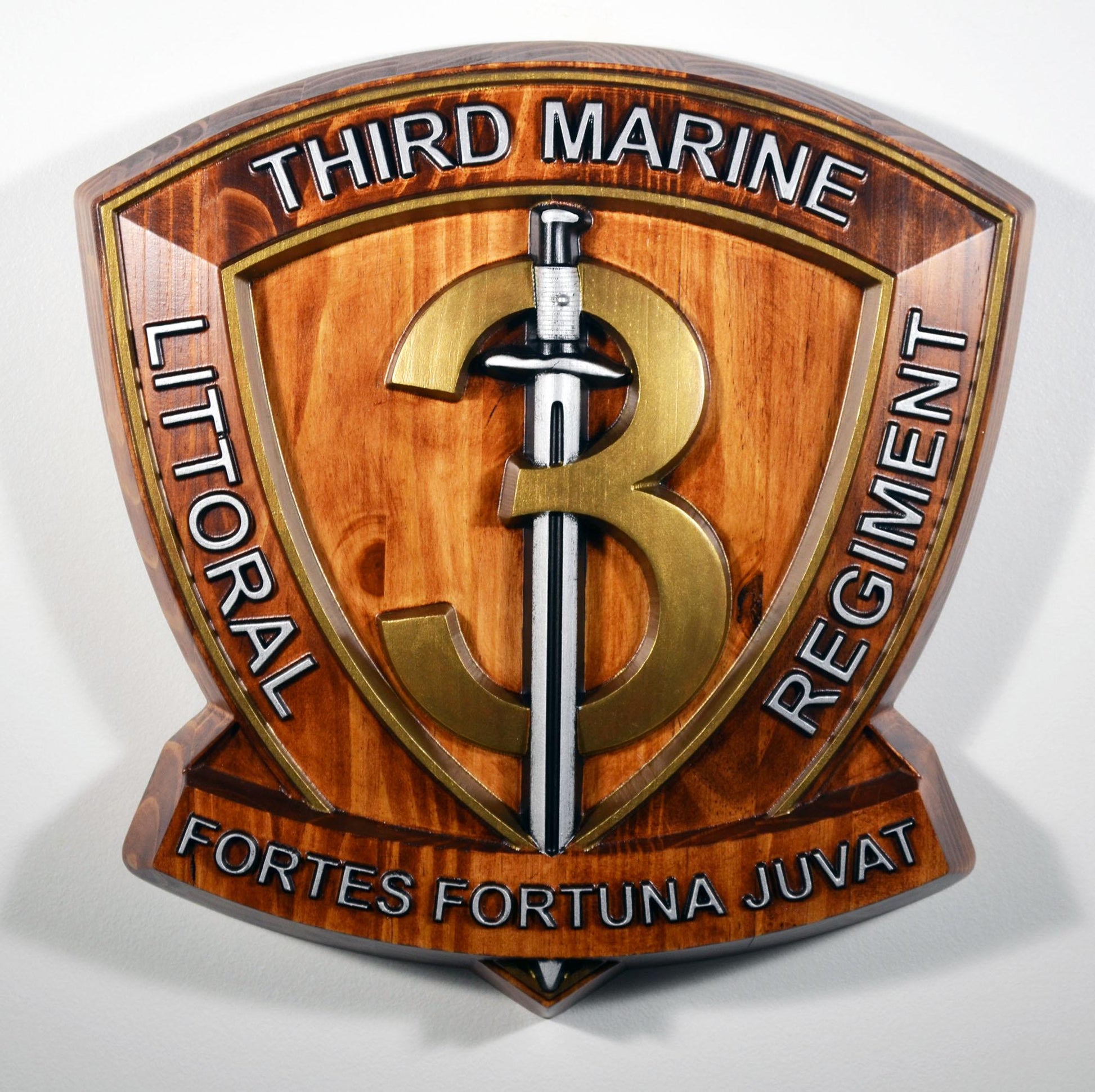 USMC 3rd Marine Littoral Regiment, Painted 15" Military Plaque