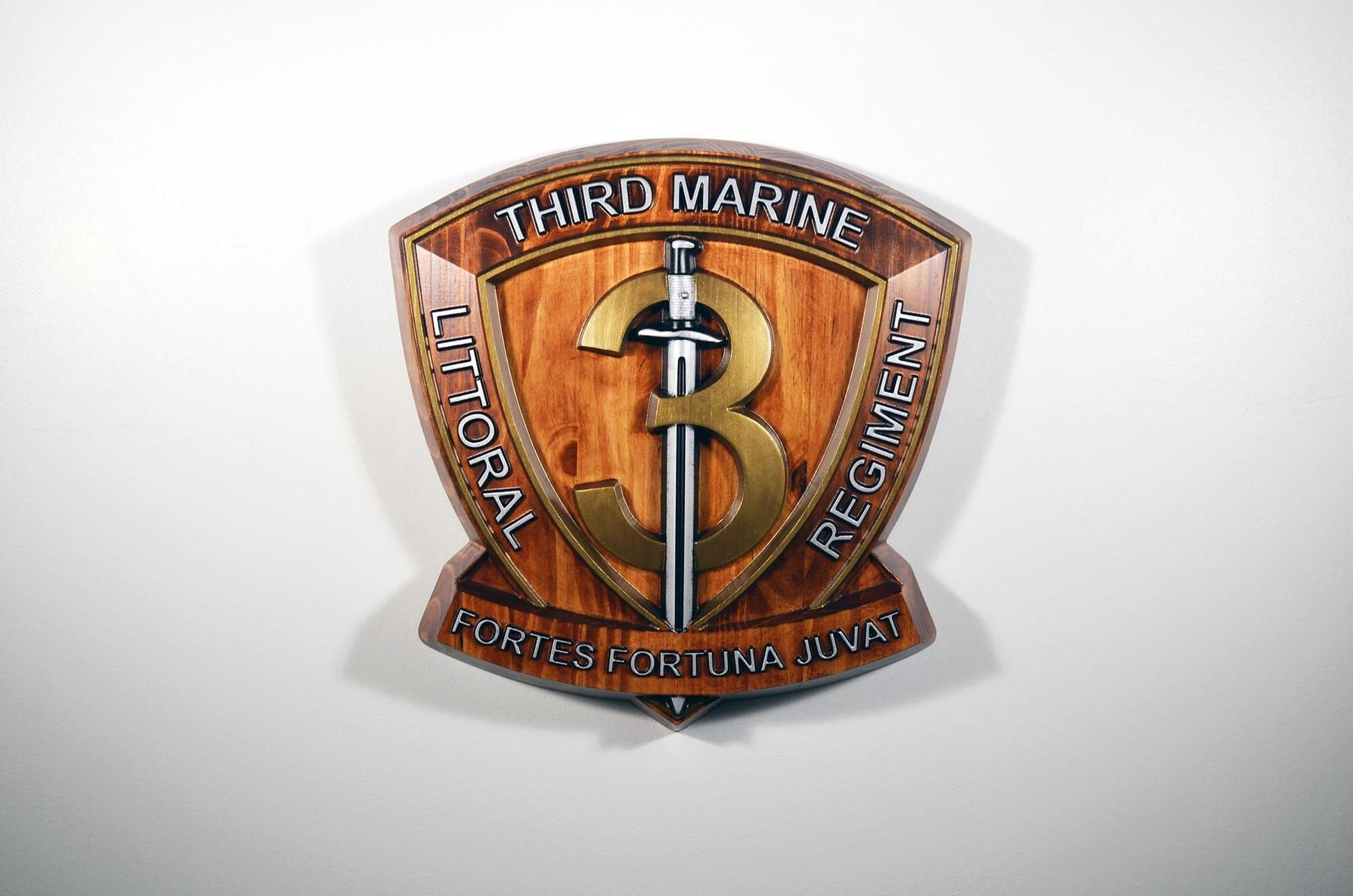 USMC 3rd Marine Littoral Regiment, Painted 15" Military Plaque