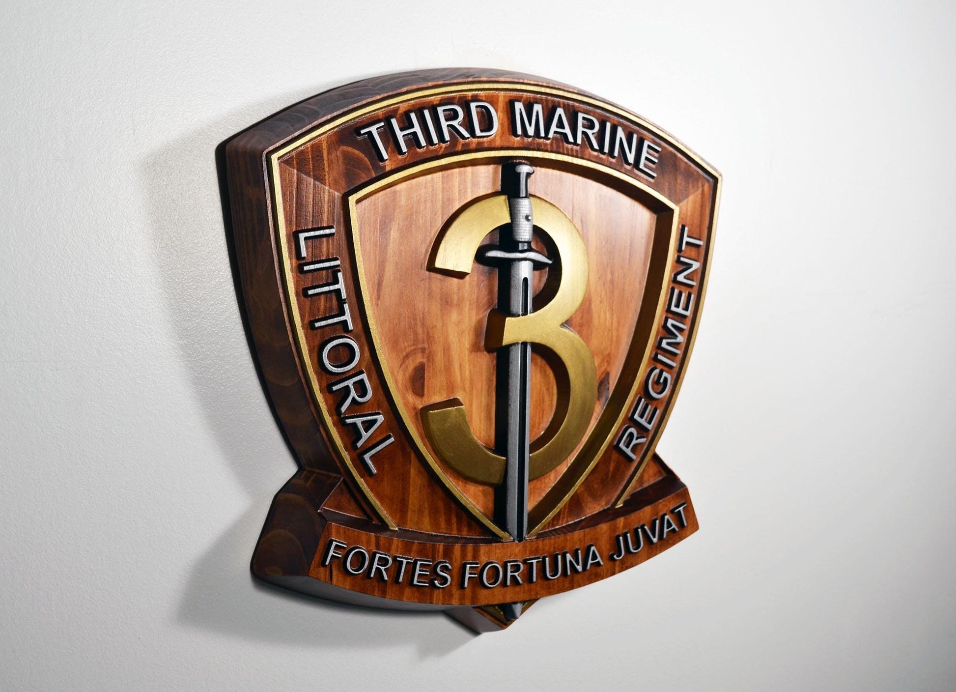 USMC 3rd Marine Littoral Regiment, Painted 15" Military Plaque