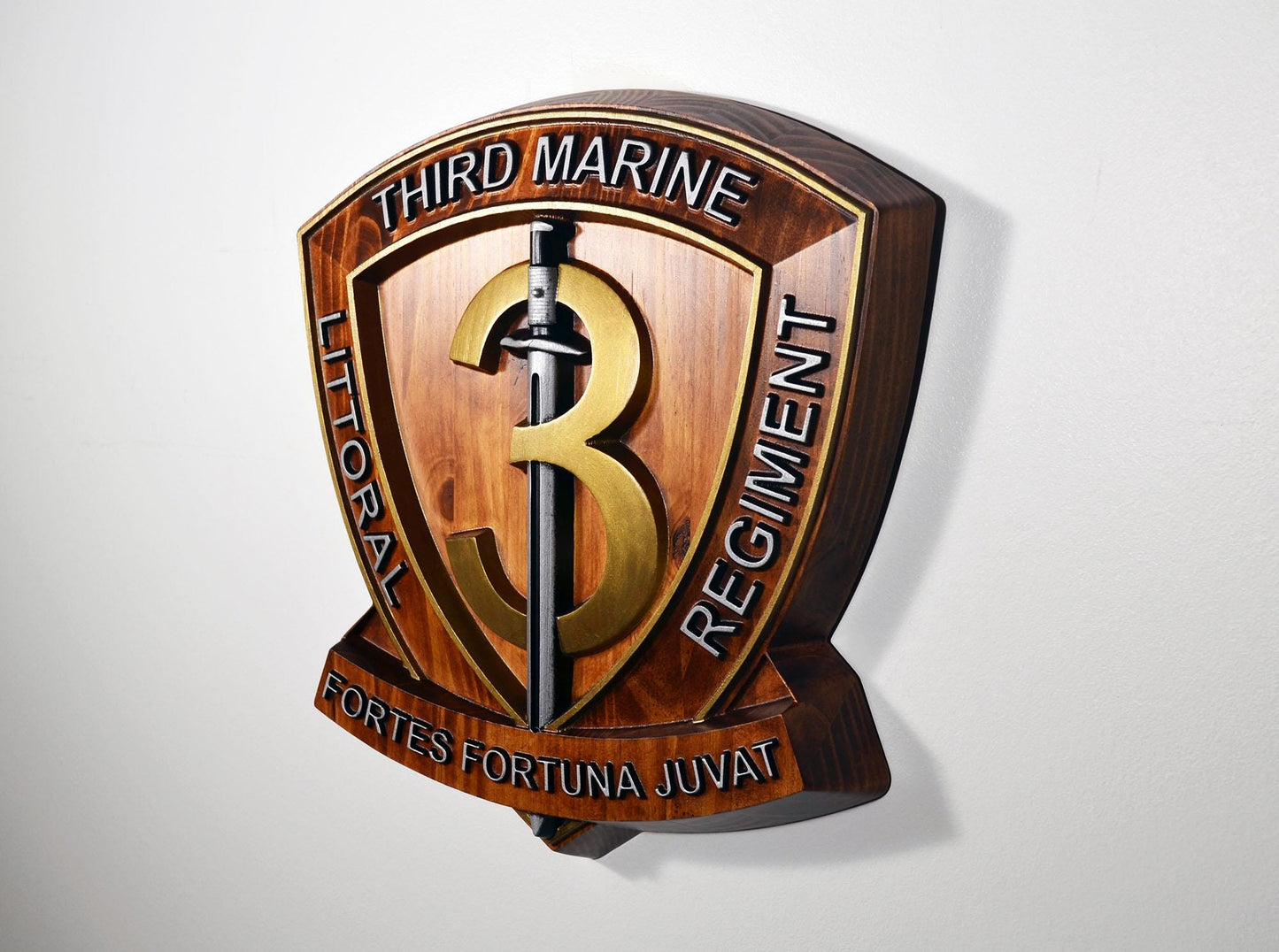 USMC 3rd Marine Littoral Regiment, Painted 15" Military Plaque