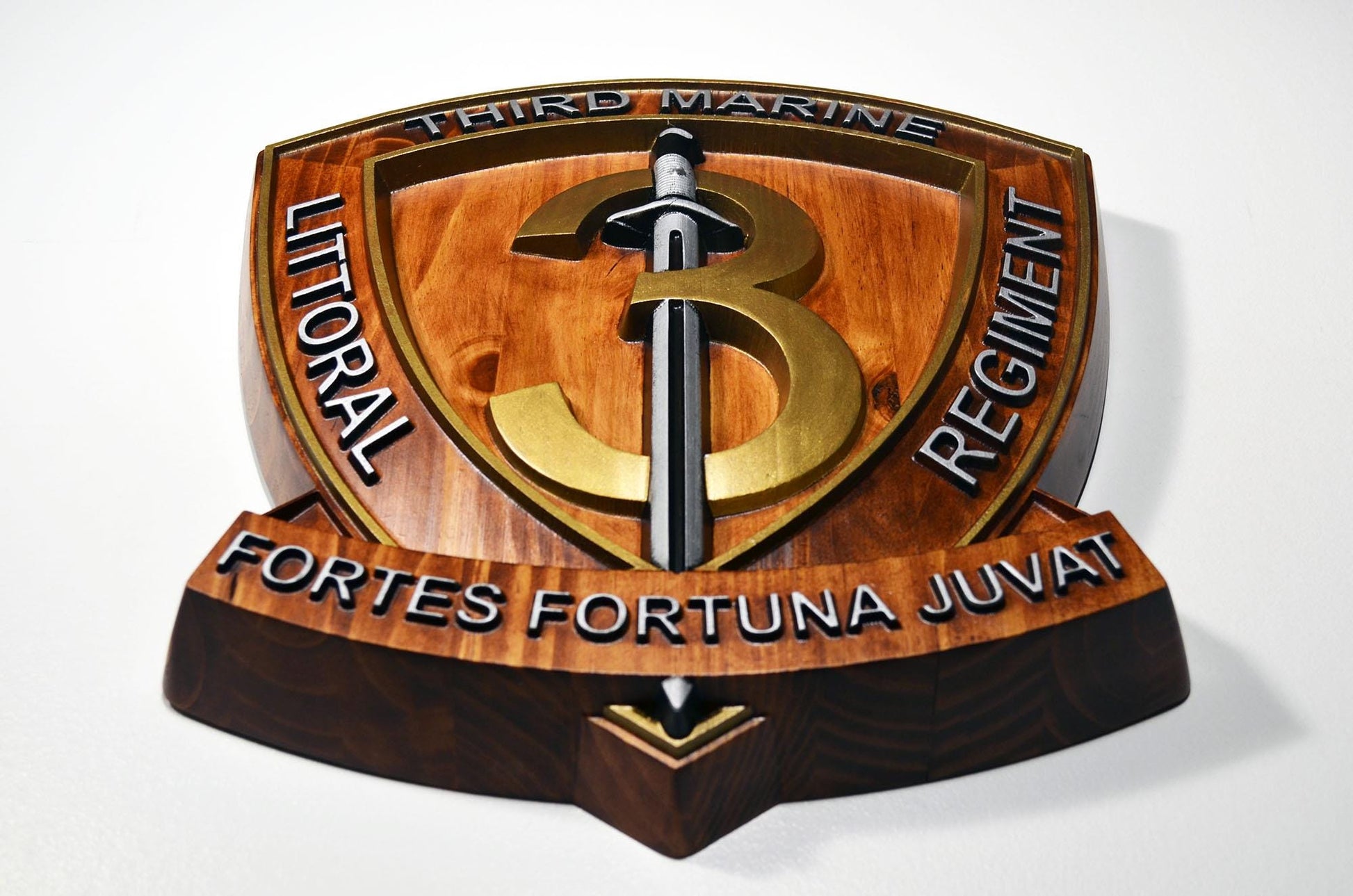 USMC 3rd Marine Littoral Regiment, Painted 15" Military Plaque