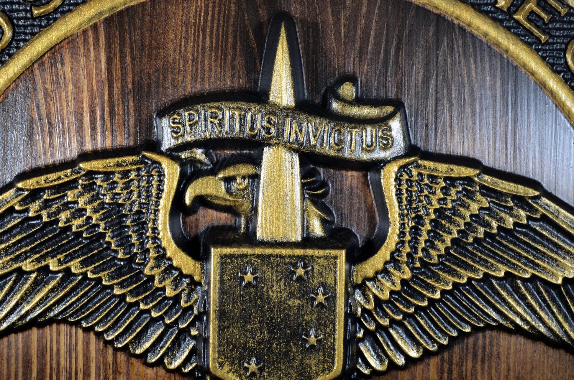 USMC Marine Raiders Badge on Shield, Marine Special Operations, painted wood military plaque
